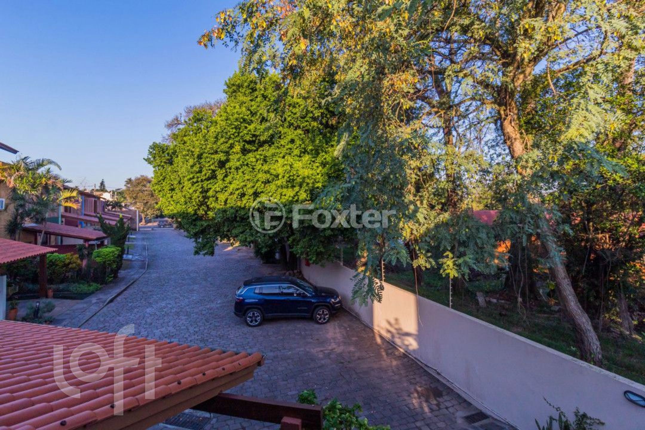 Imagem da propriedade 18