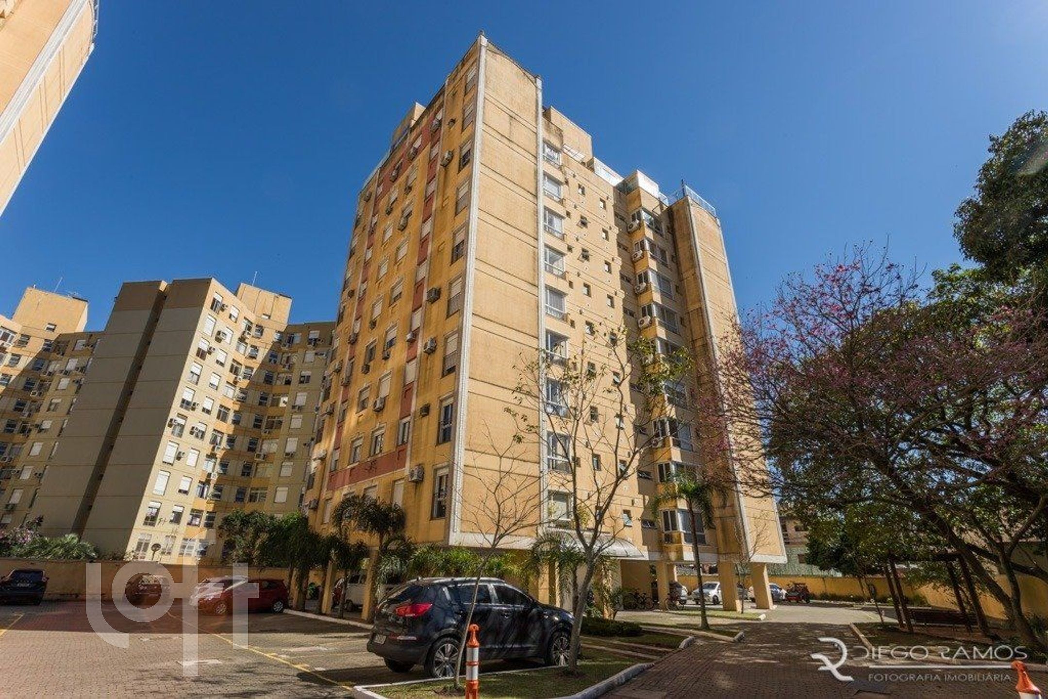 Imagem da propriedade 15