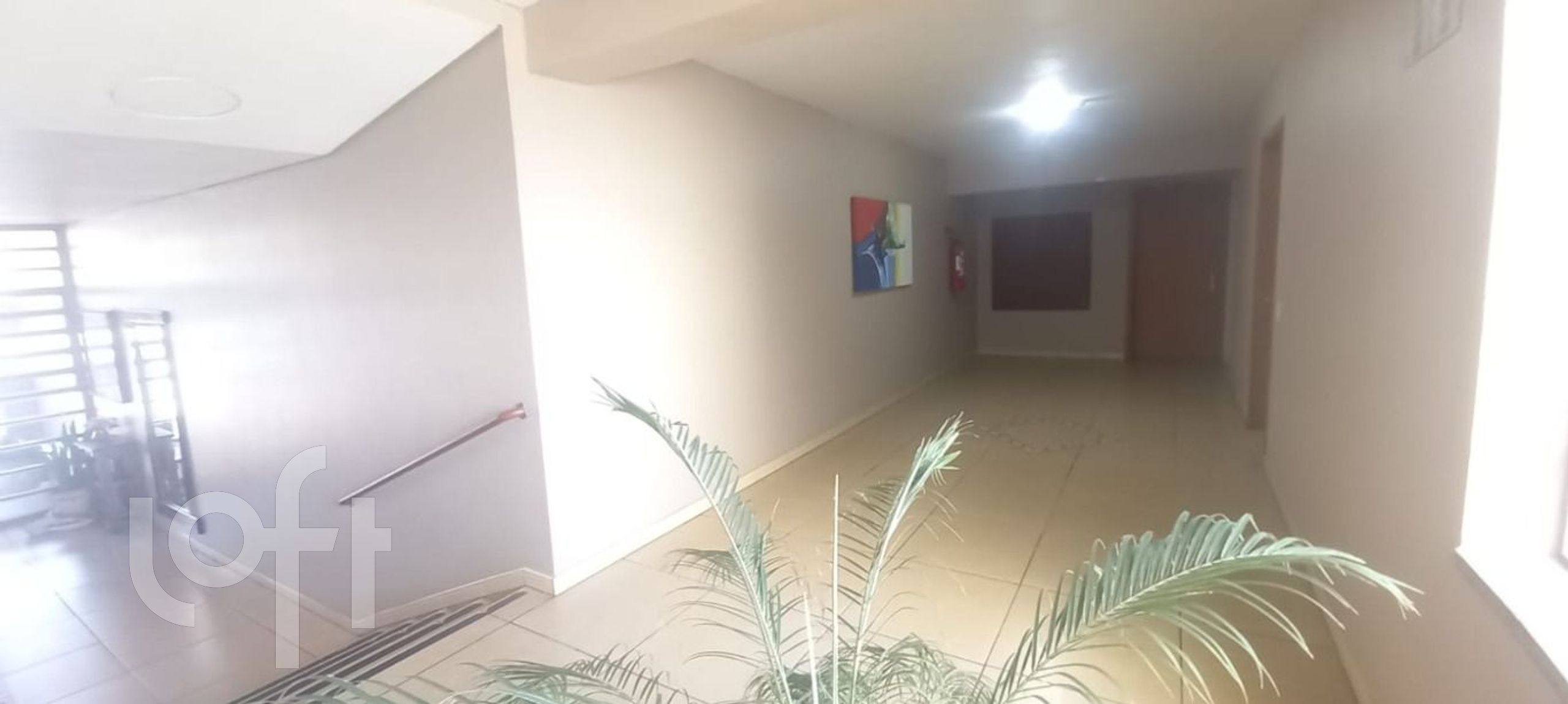 Imagem da propriedade 32