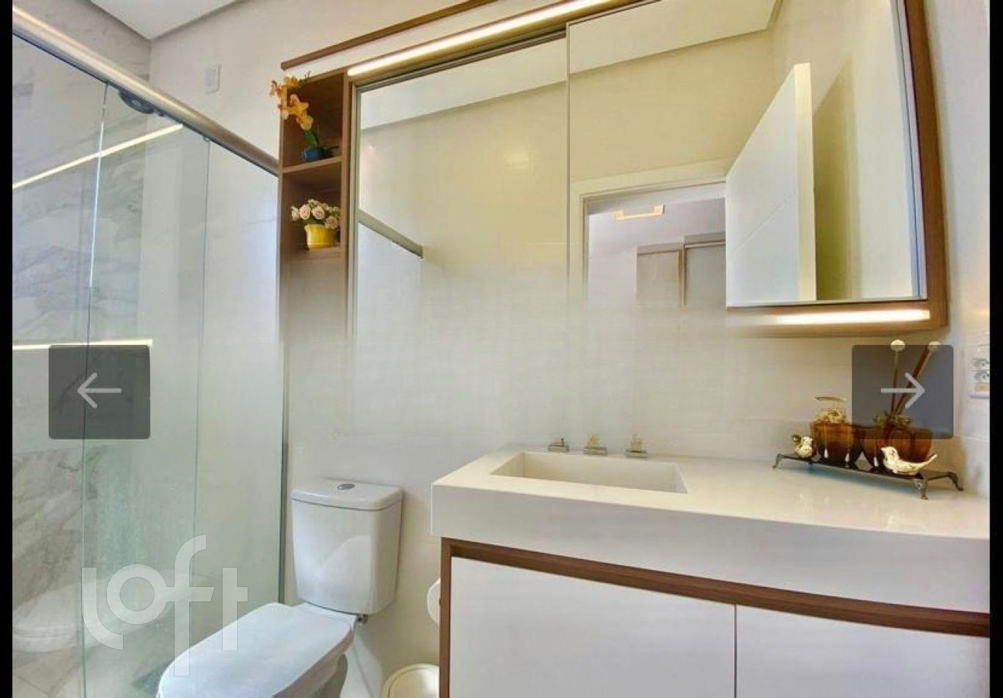 Imagem da propriedade 14