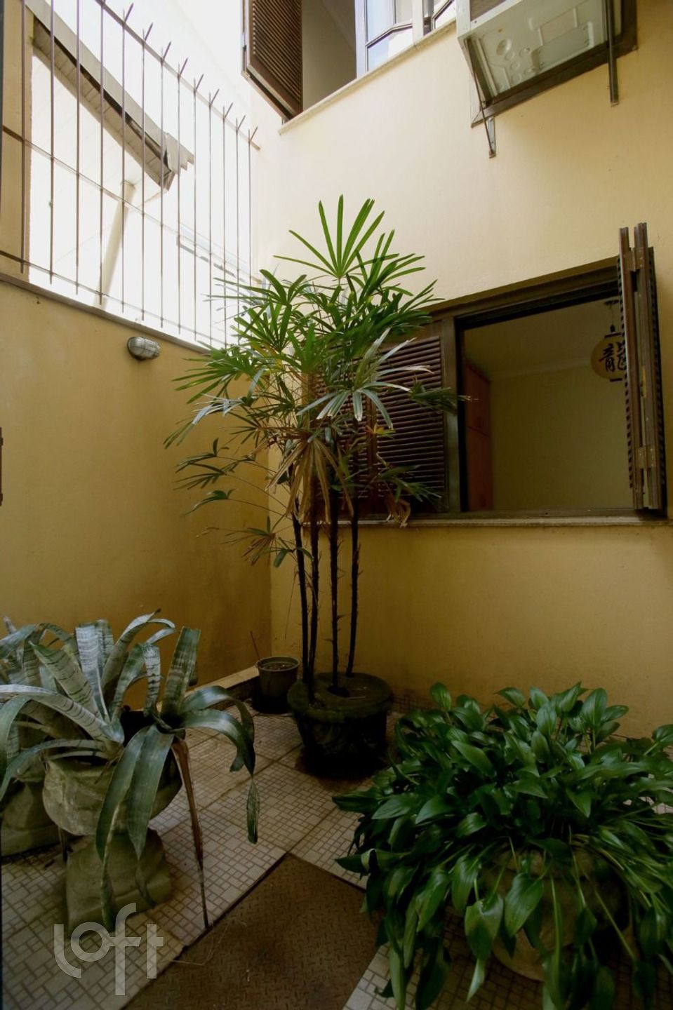 Imagem da propriedade 11