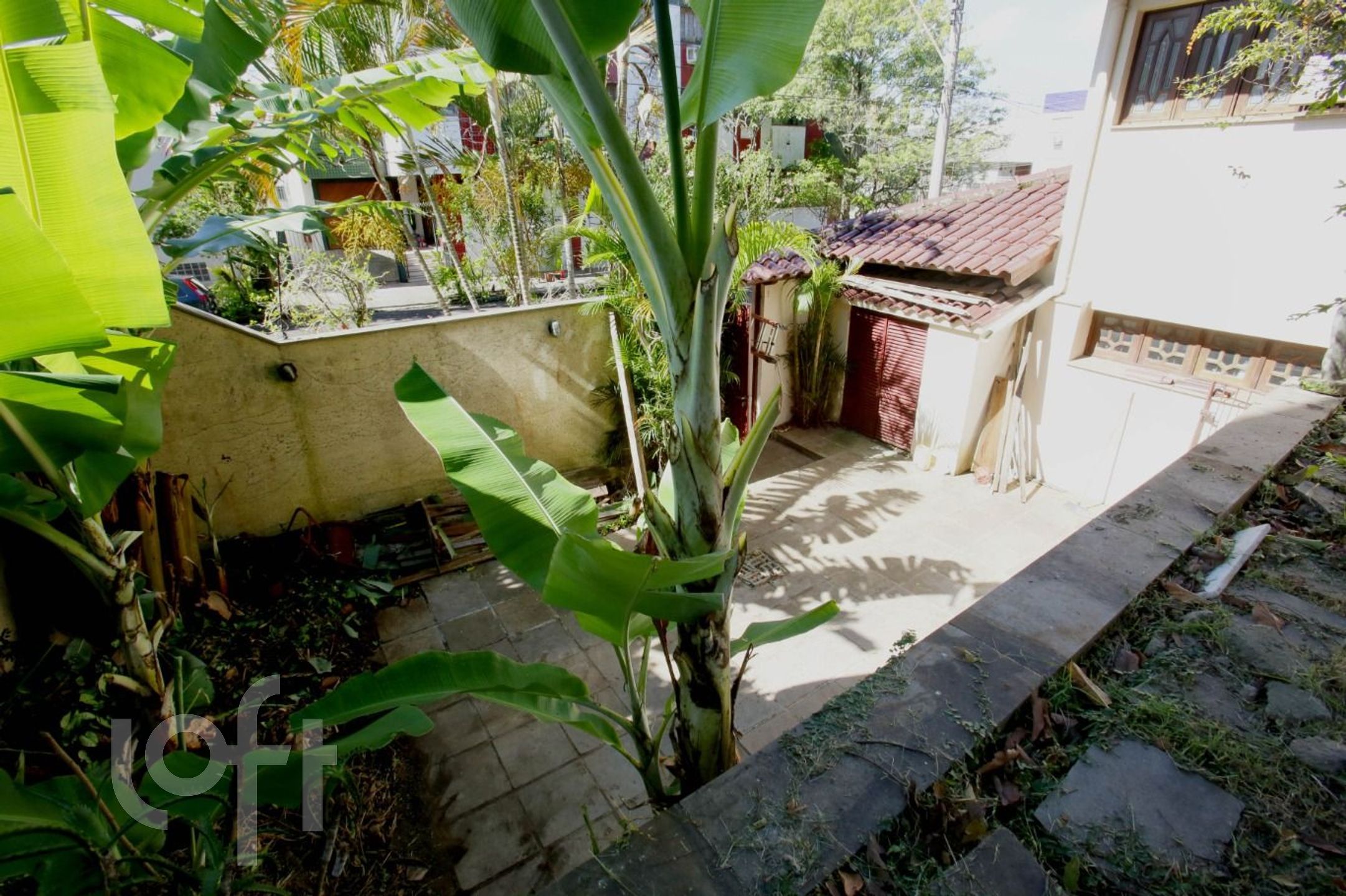 Imagem da propriedade 53