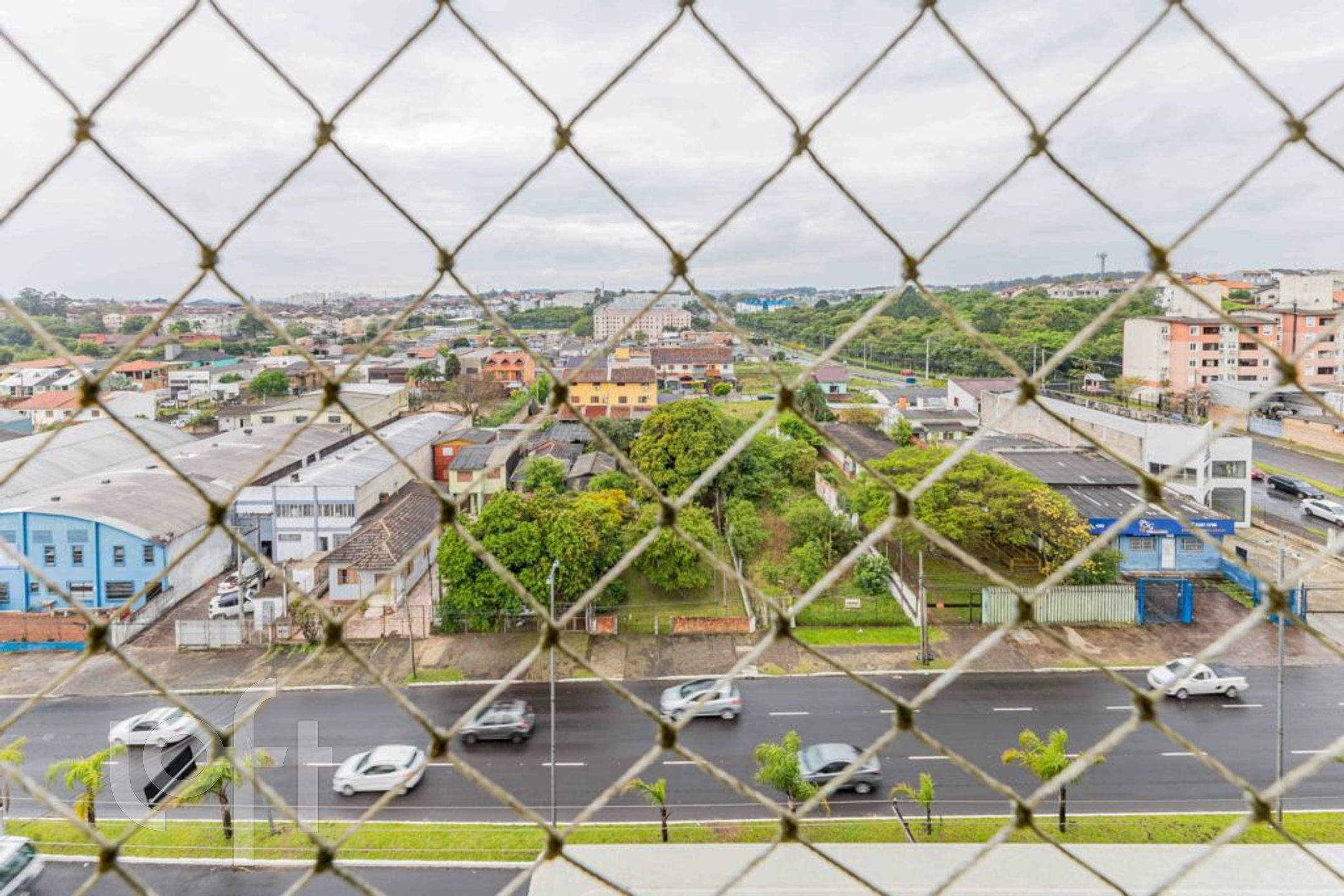 Imagem da propriedade 26