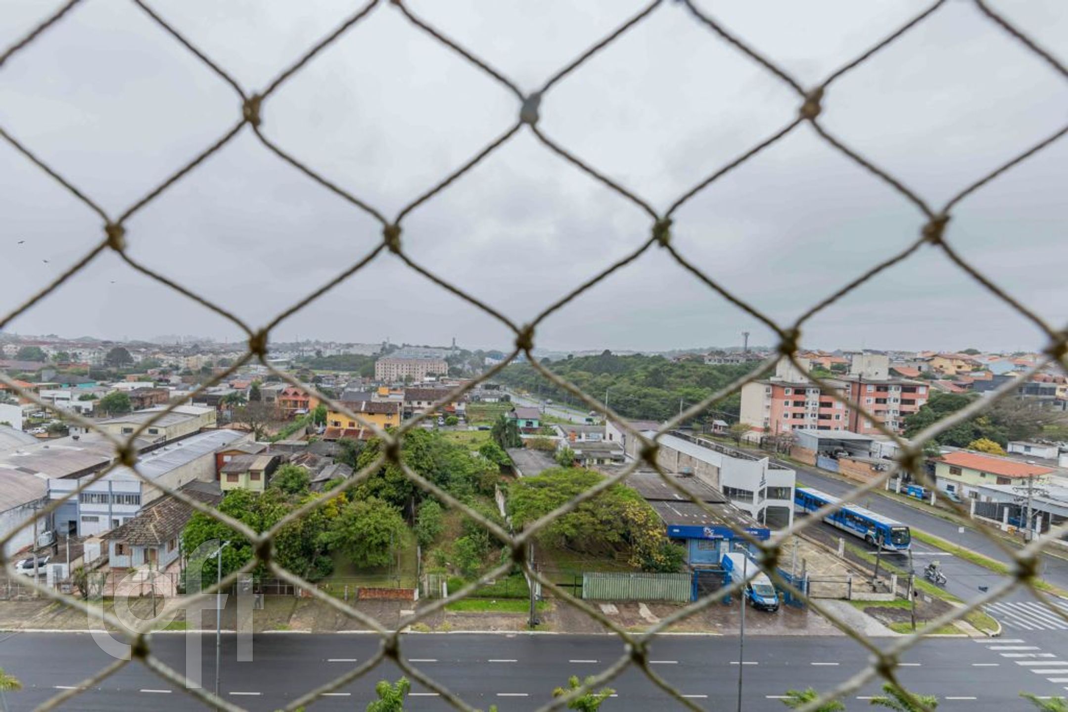 Imagem da propriedade 3