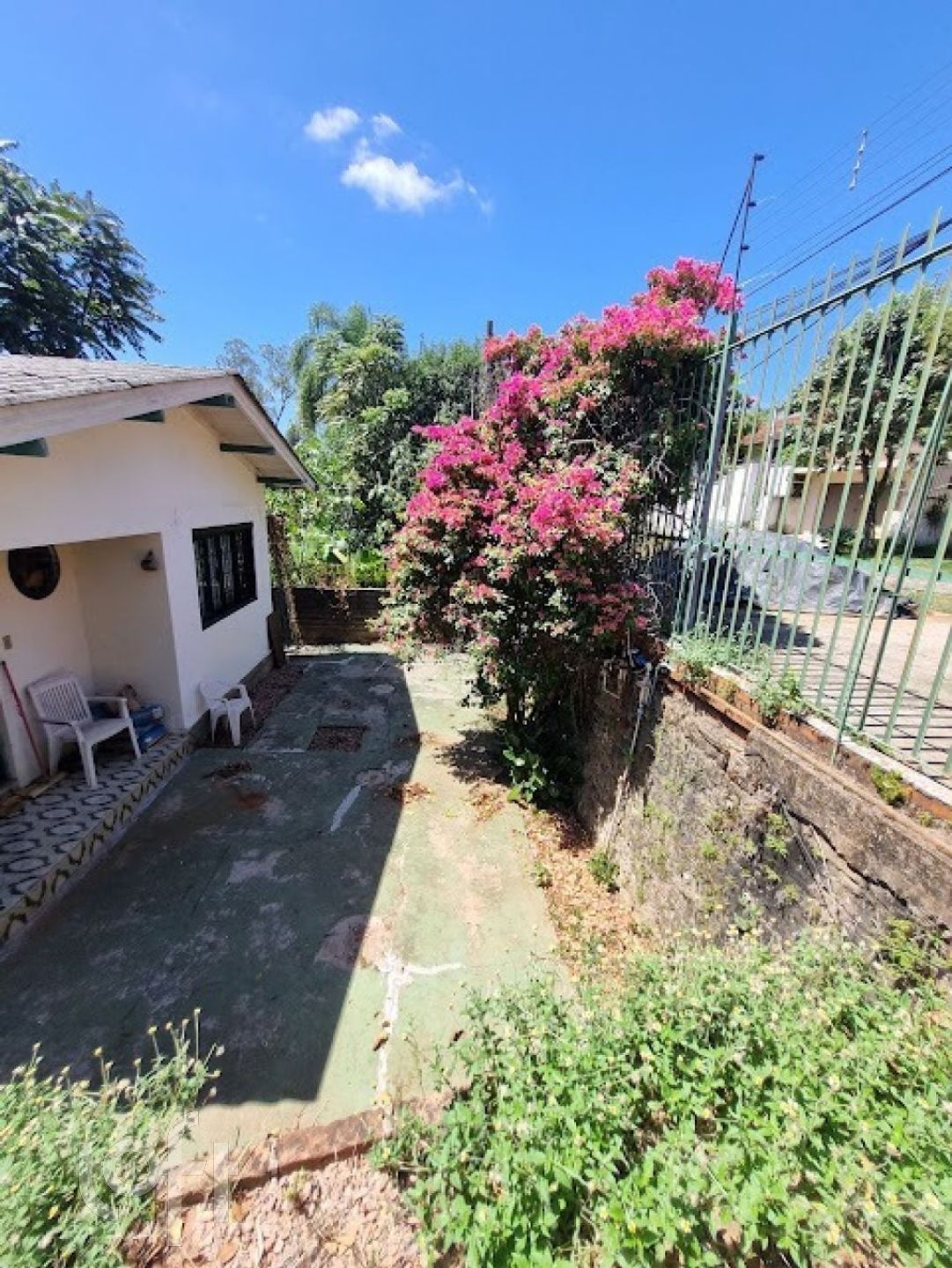 Imagem da propriedade 20