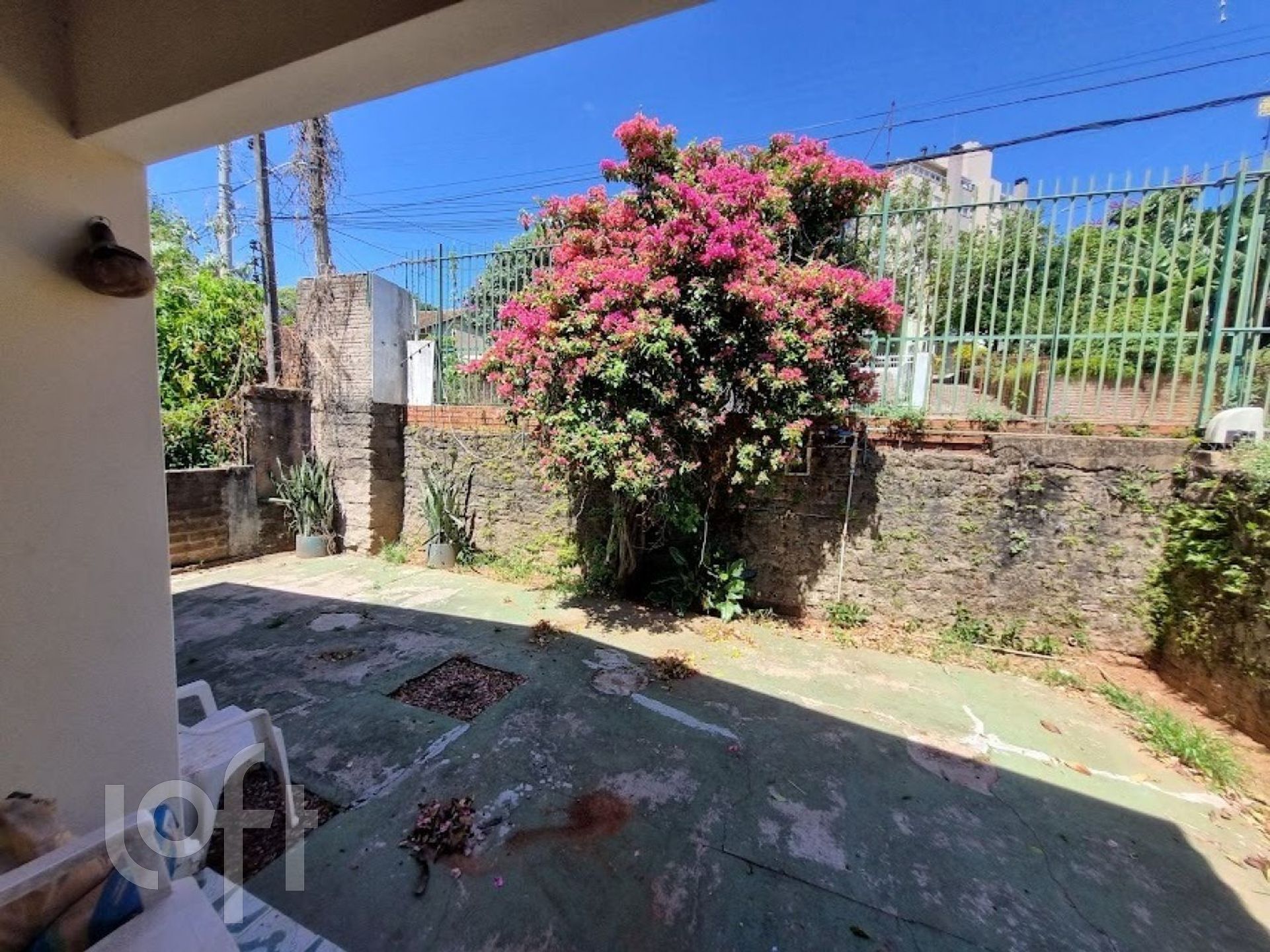 Imagem da propriedade 31