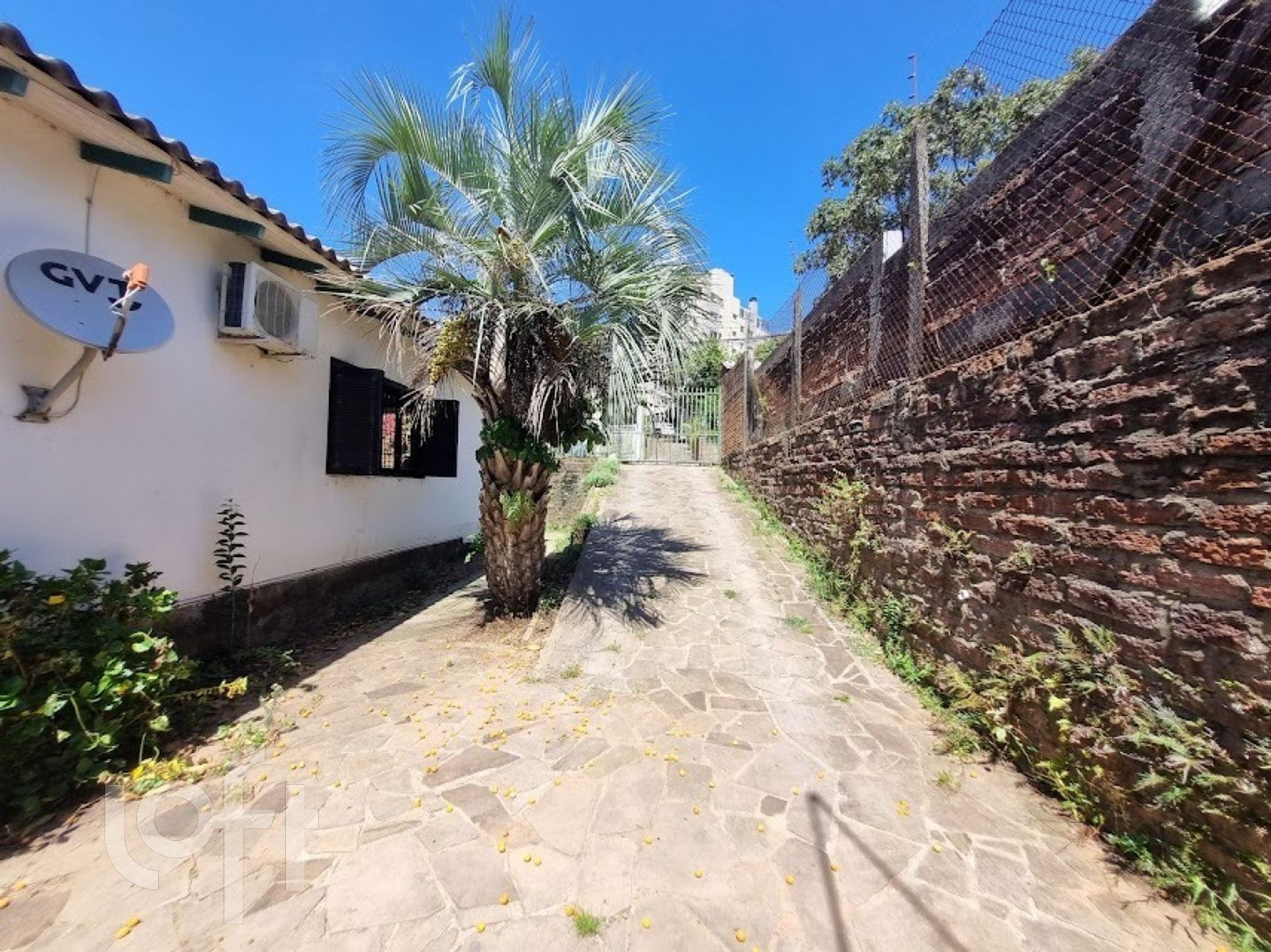 Imagem da propriedade 22