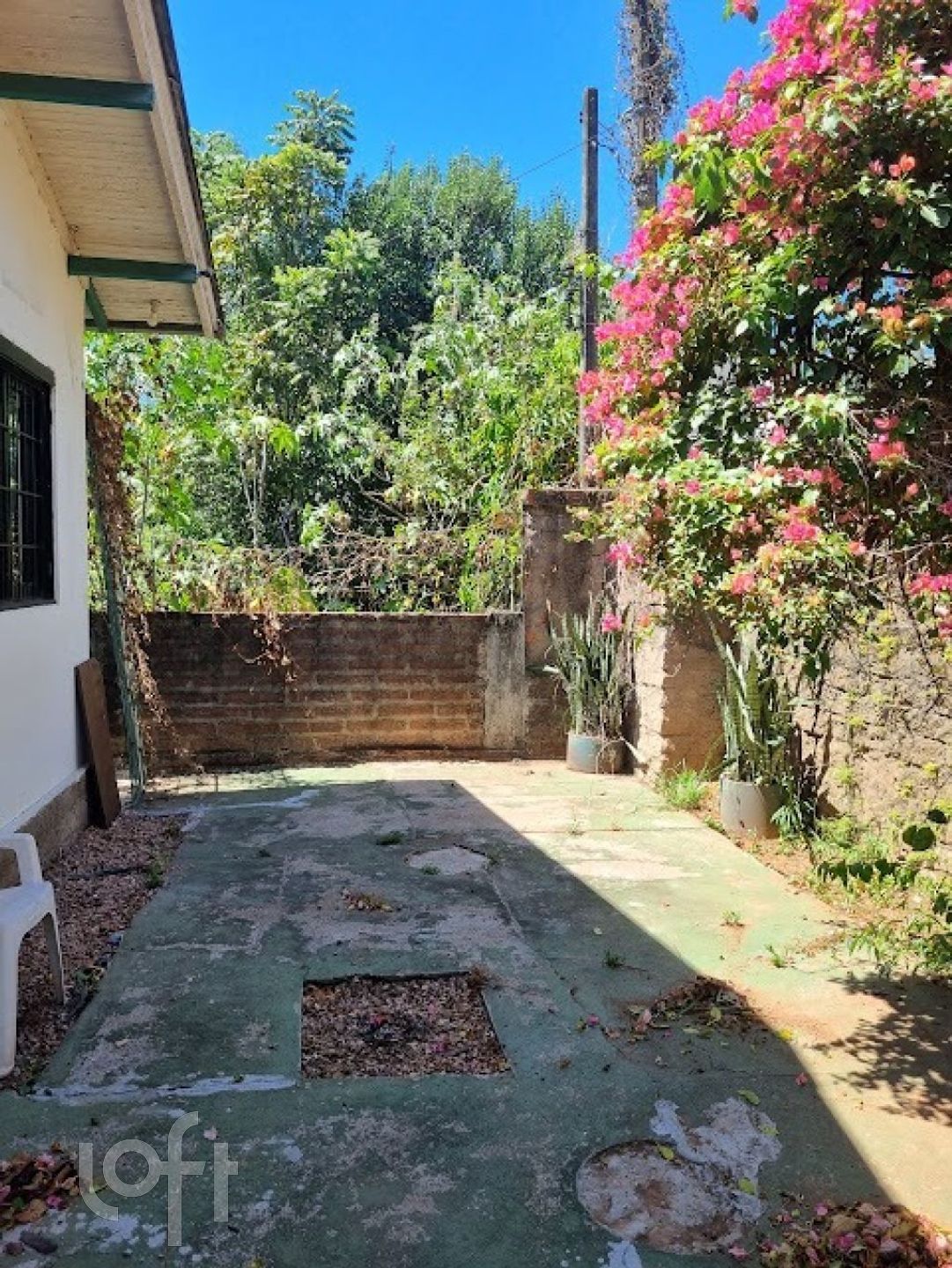 Imagem da propriedade 18