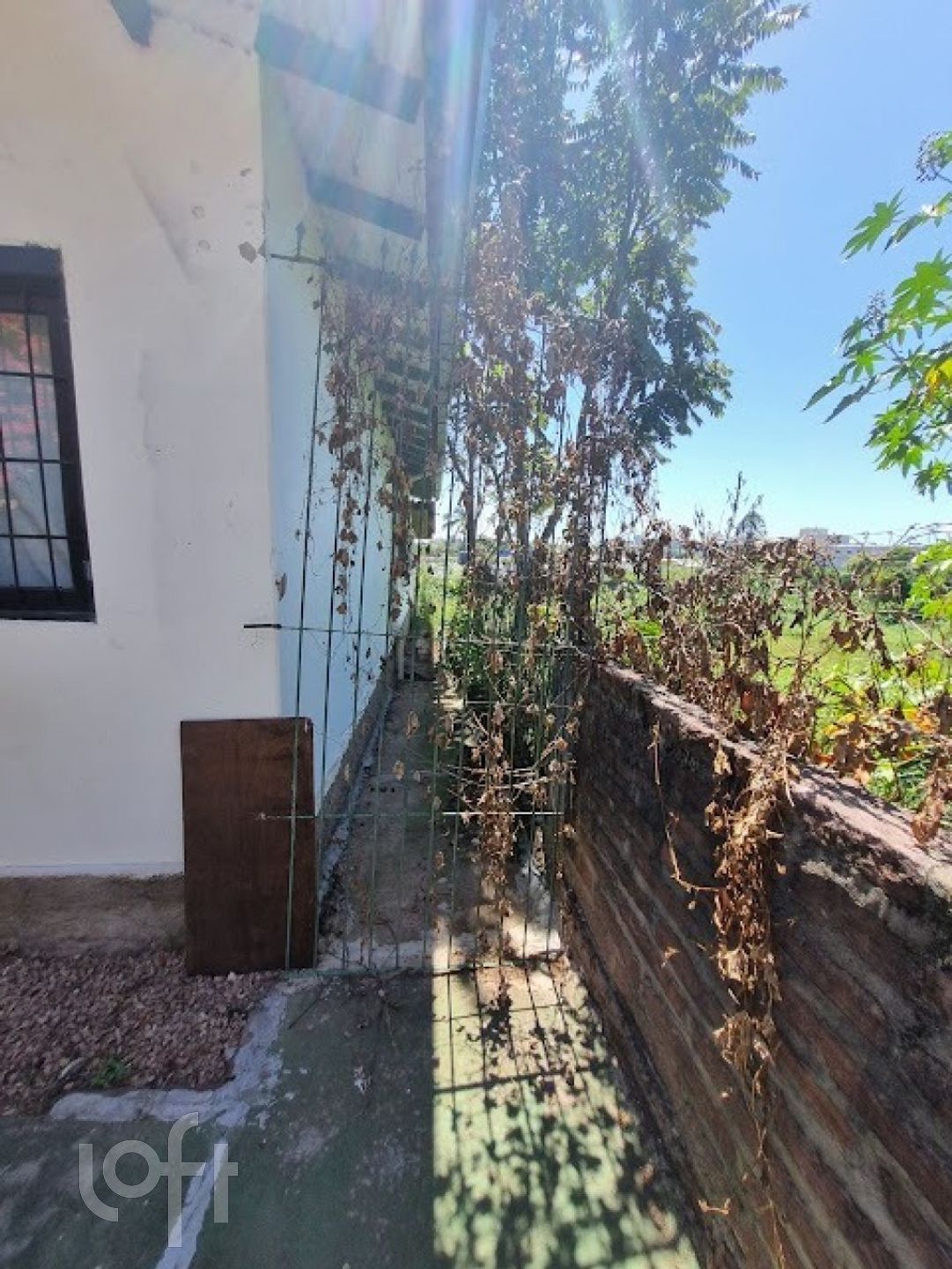 Imagem da propriedade 34