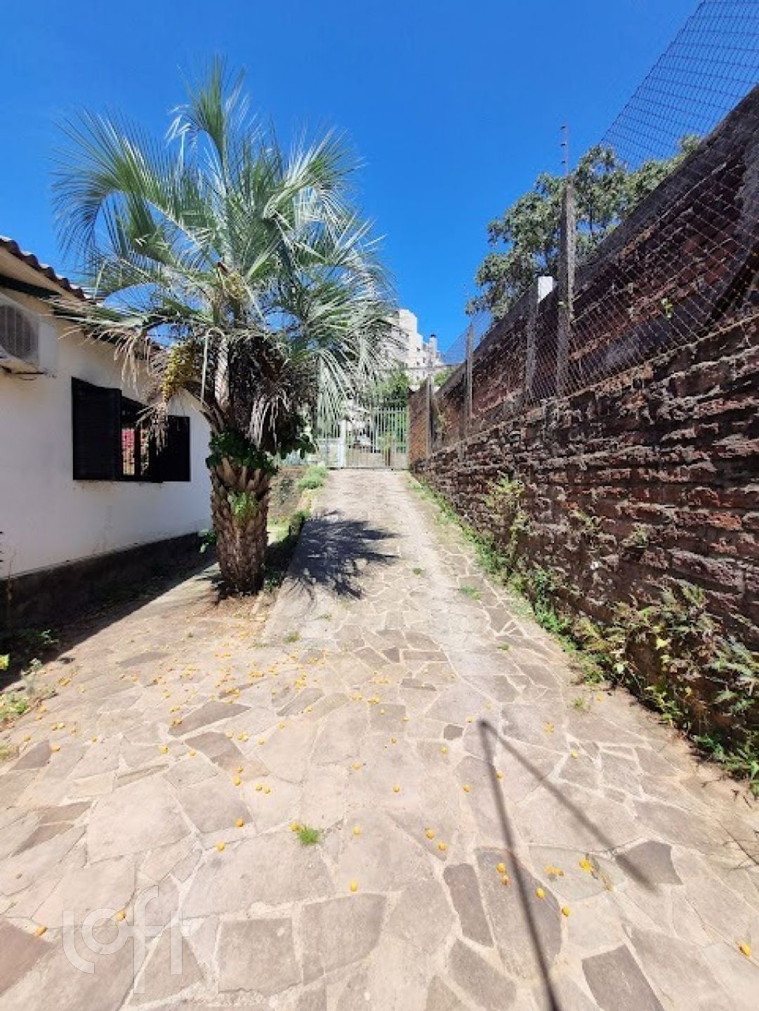 Imagem da propriedade 23