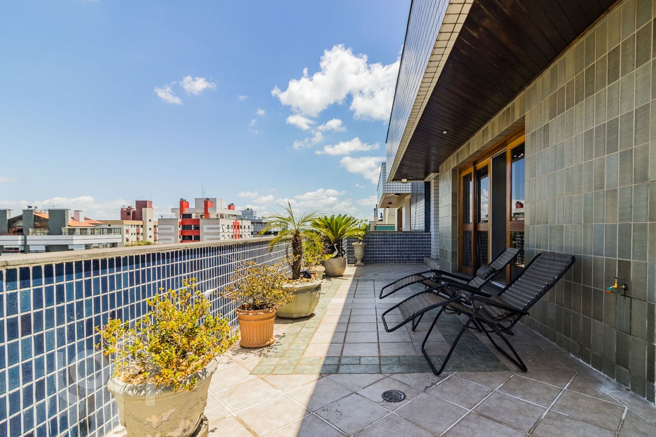 Imagem da propriedade 6