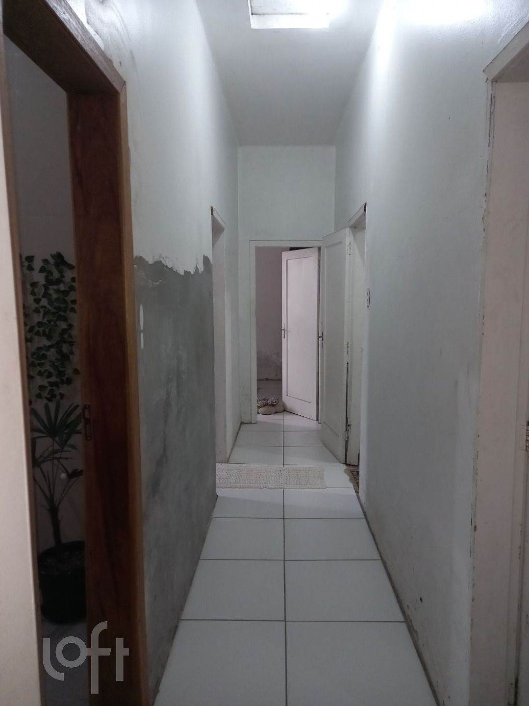 Imagem da propriedade 42