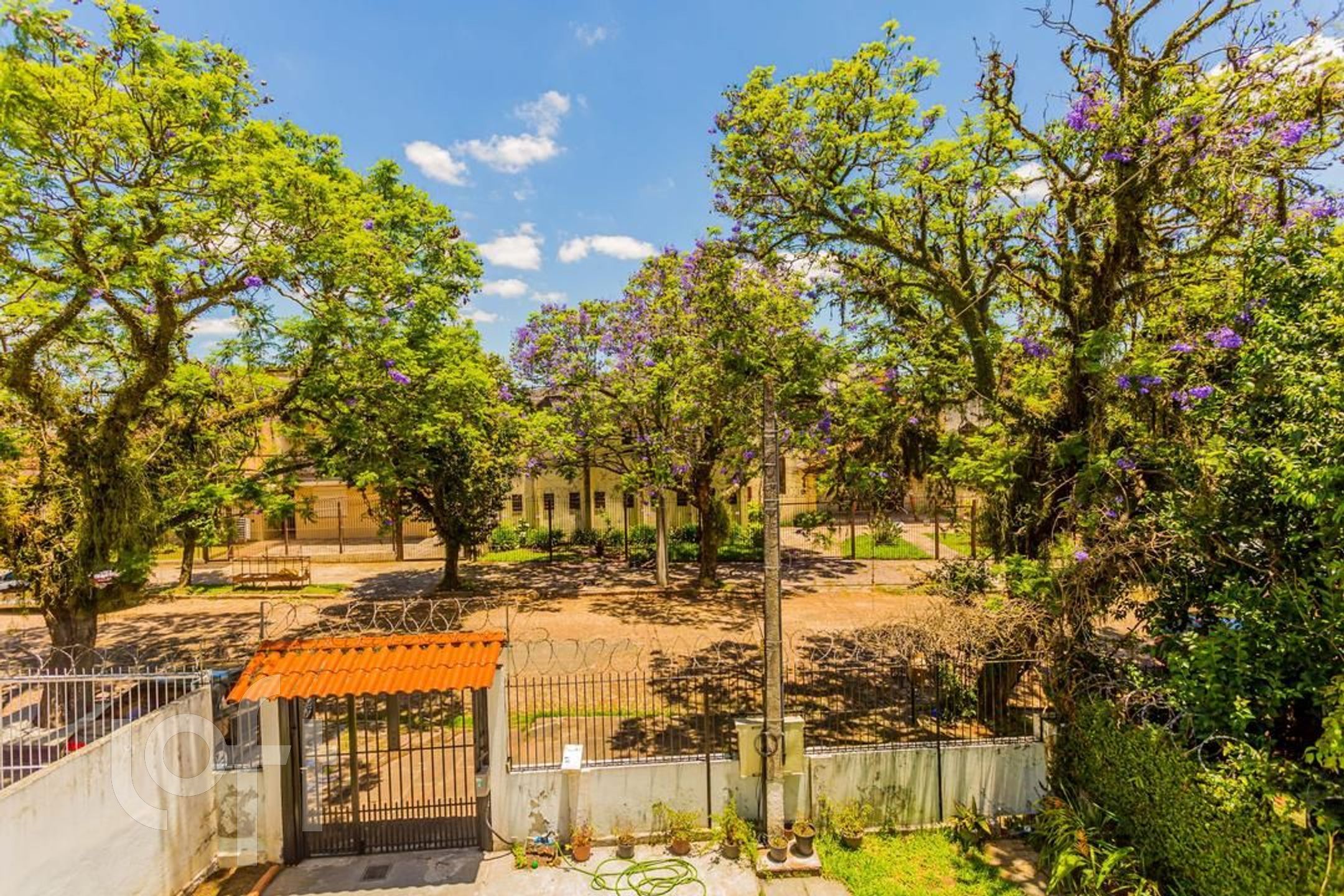 Imagem da propriedade 40