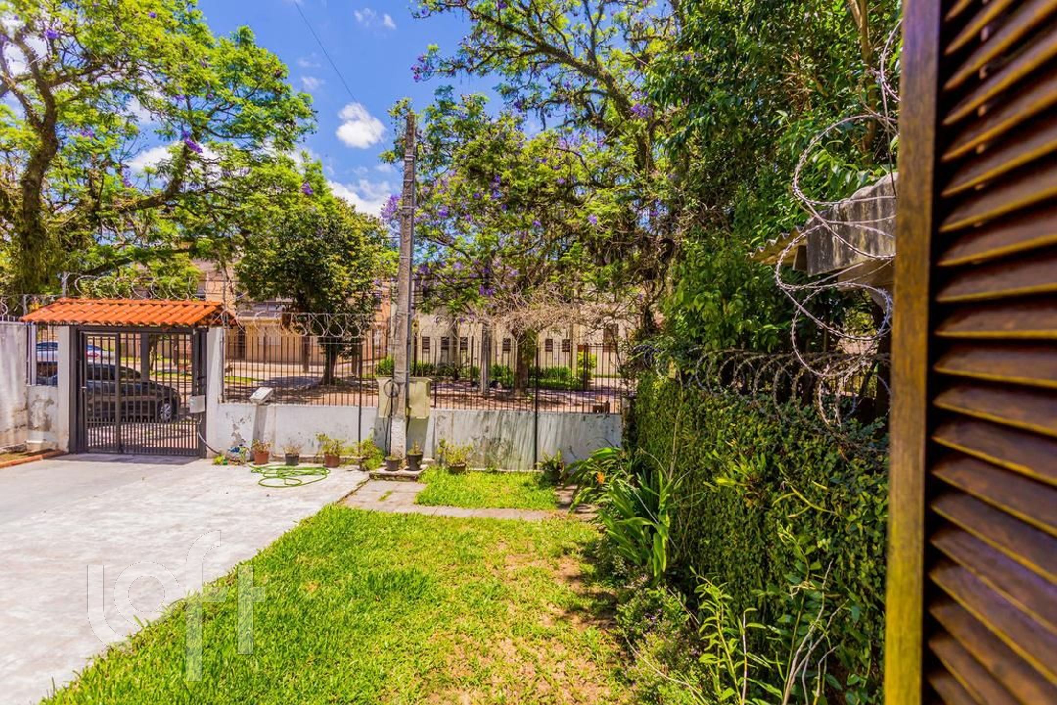 Imagem da propriedade 11