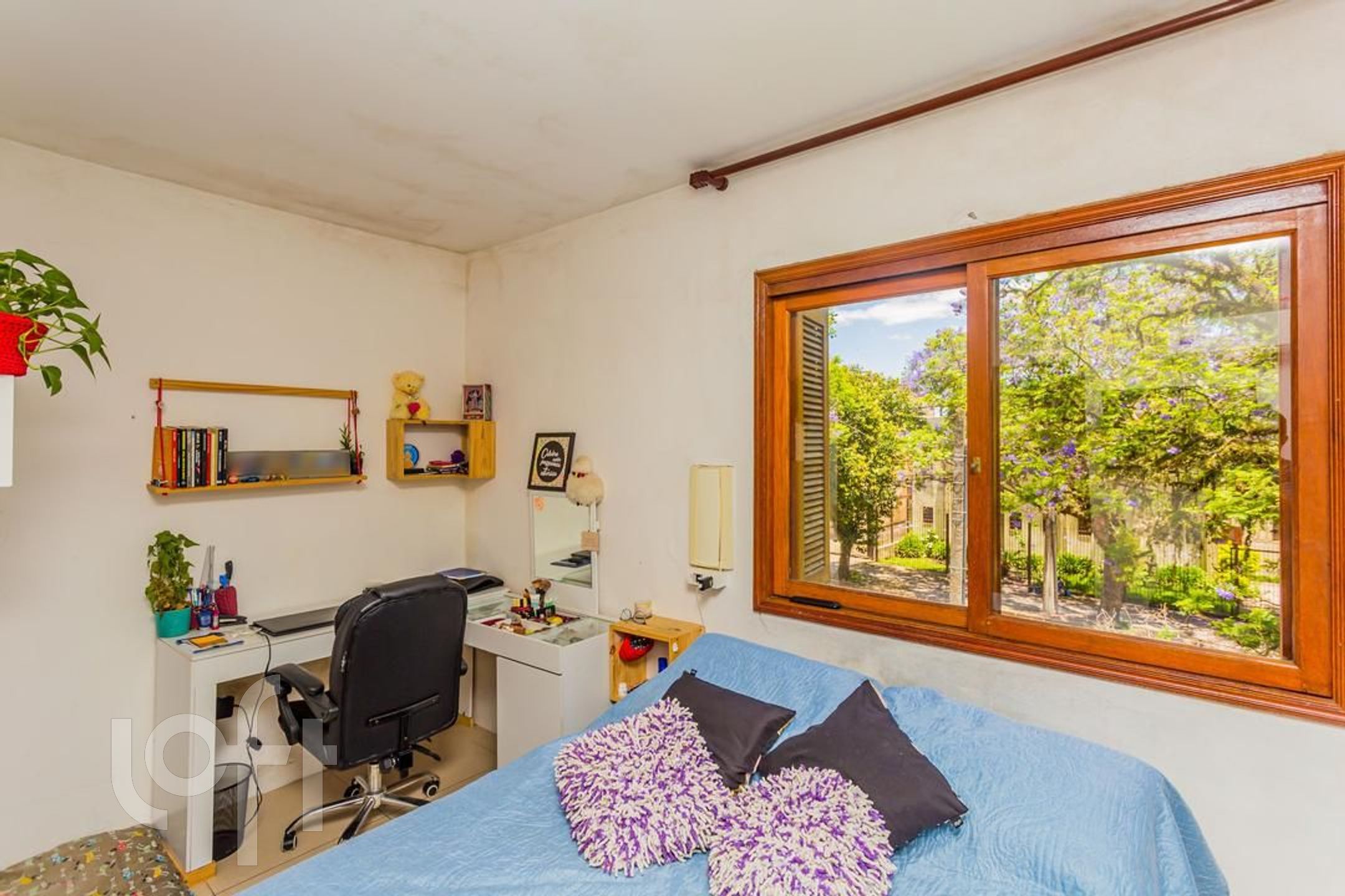 Imagem da propriedade 41