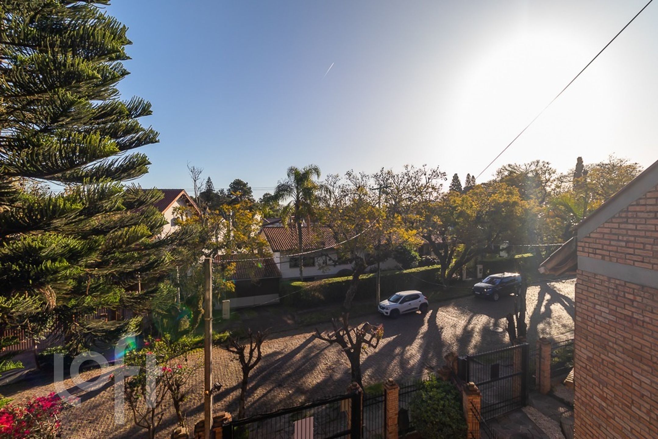 Imagem da propriedade 33