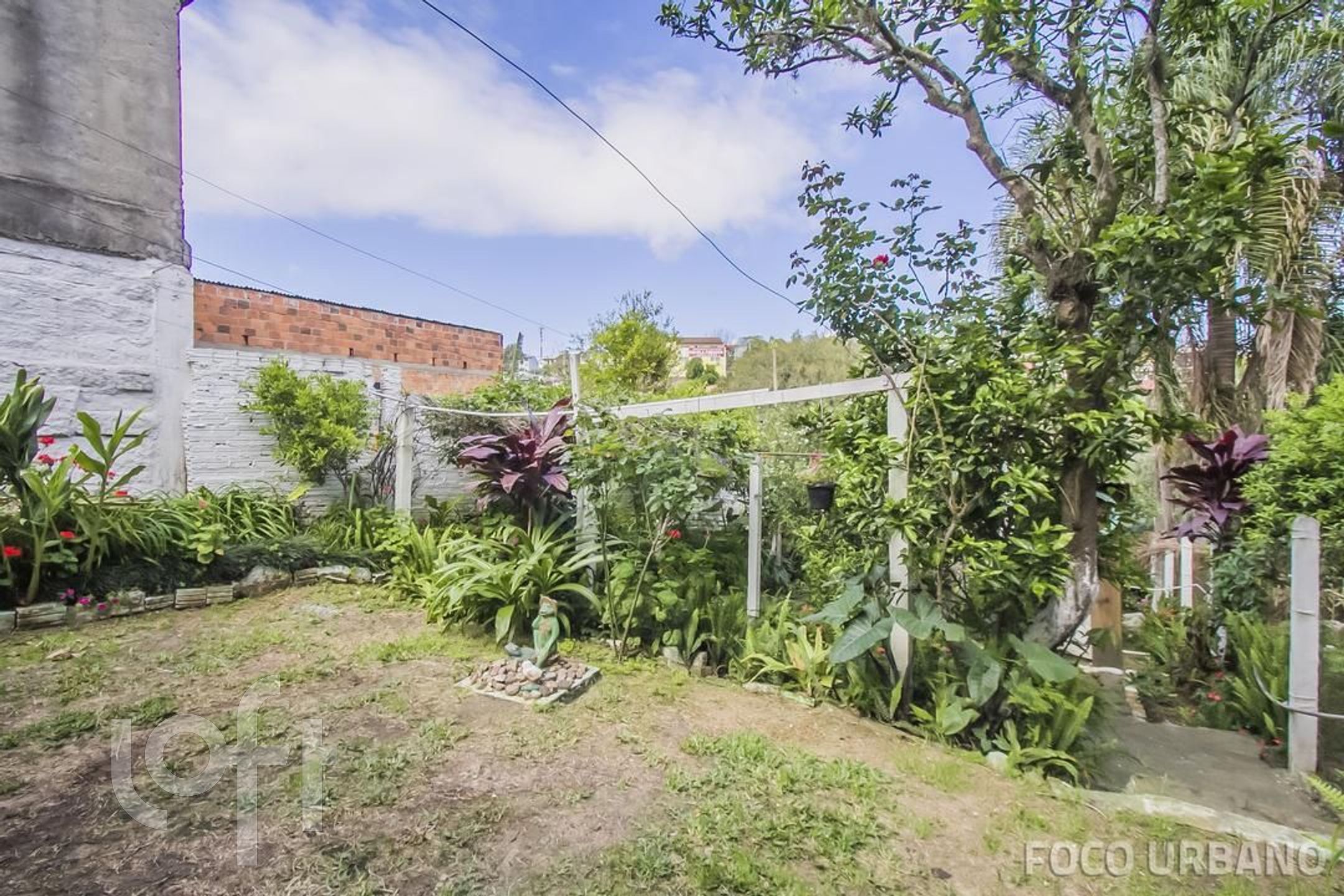 Imagem da propriedade 21