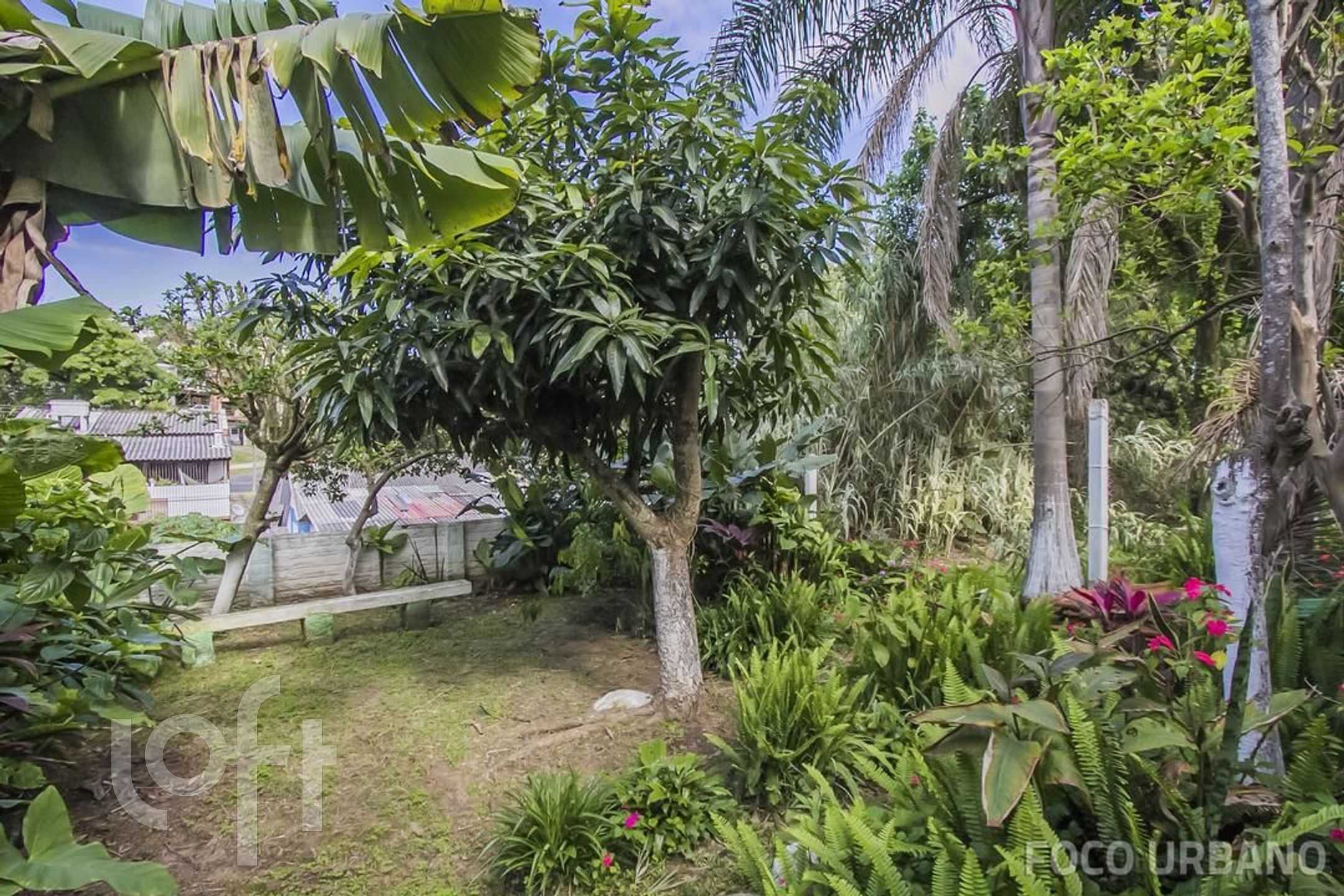 Imagem da propriedade 23