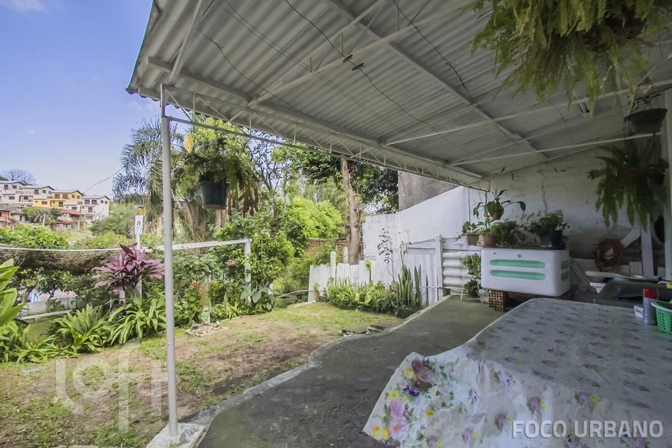 Imagem da propriedade 18