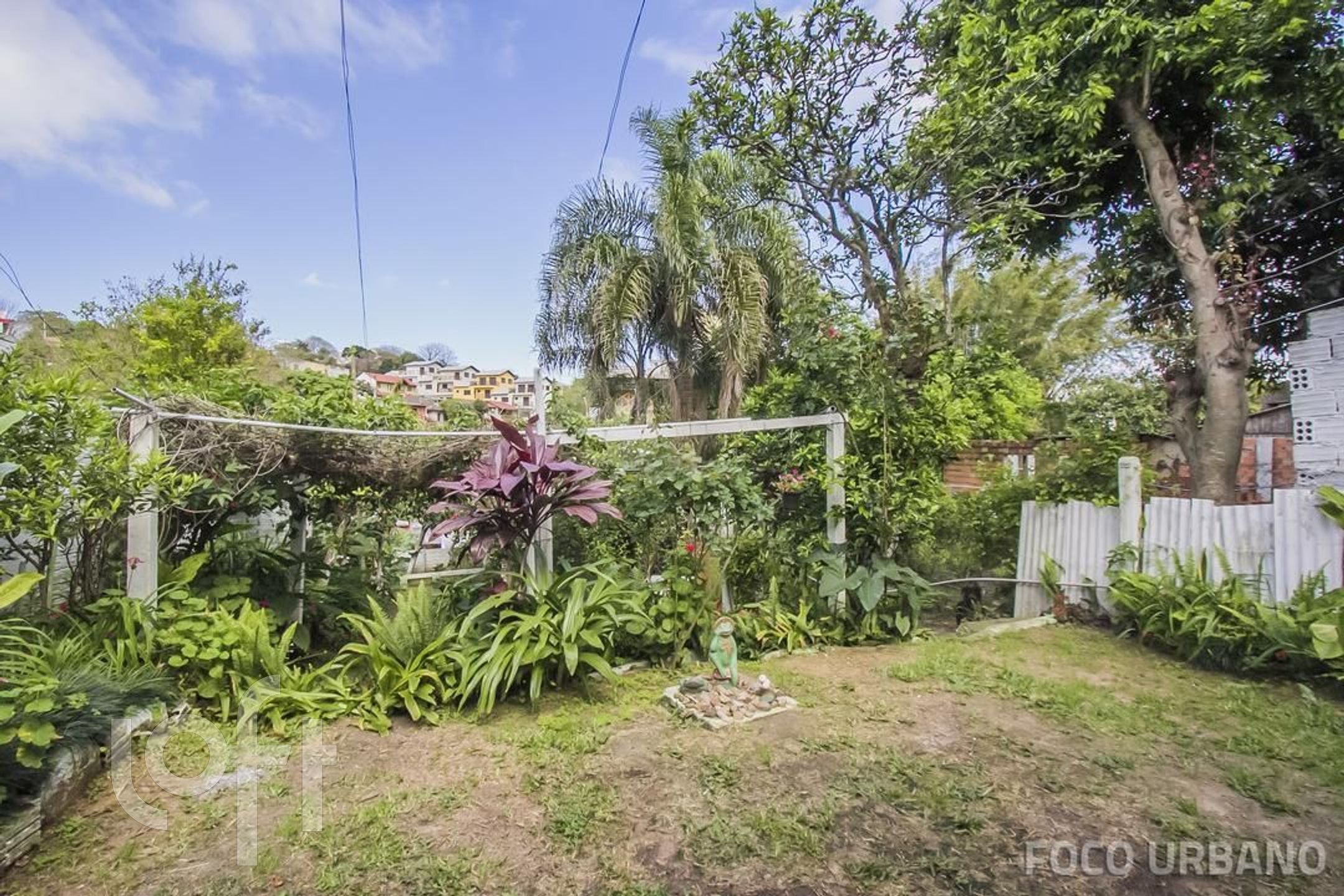 Imagem da propriedade 20