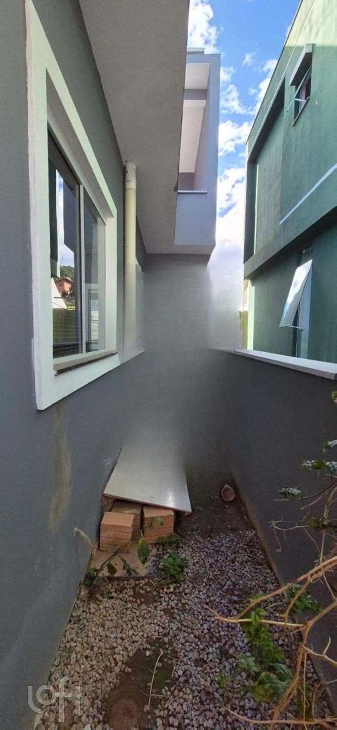 Imagem da propriedade 3