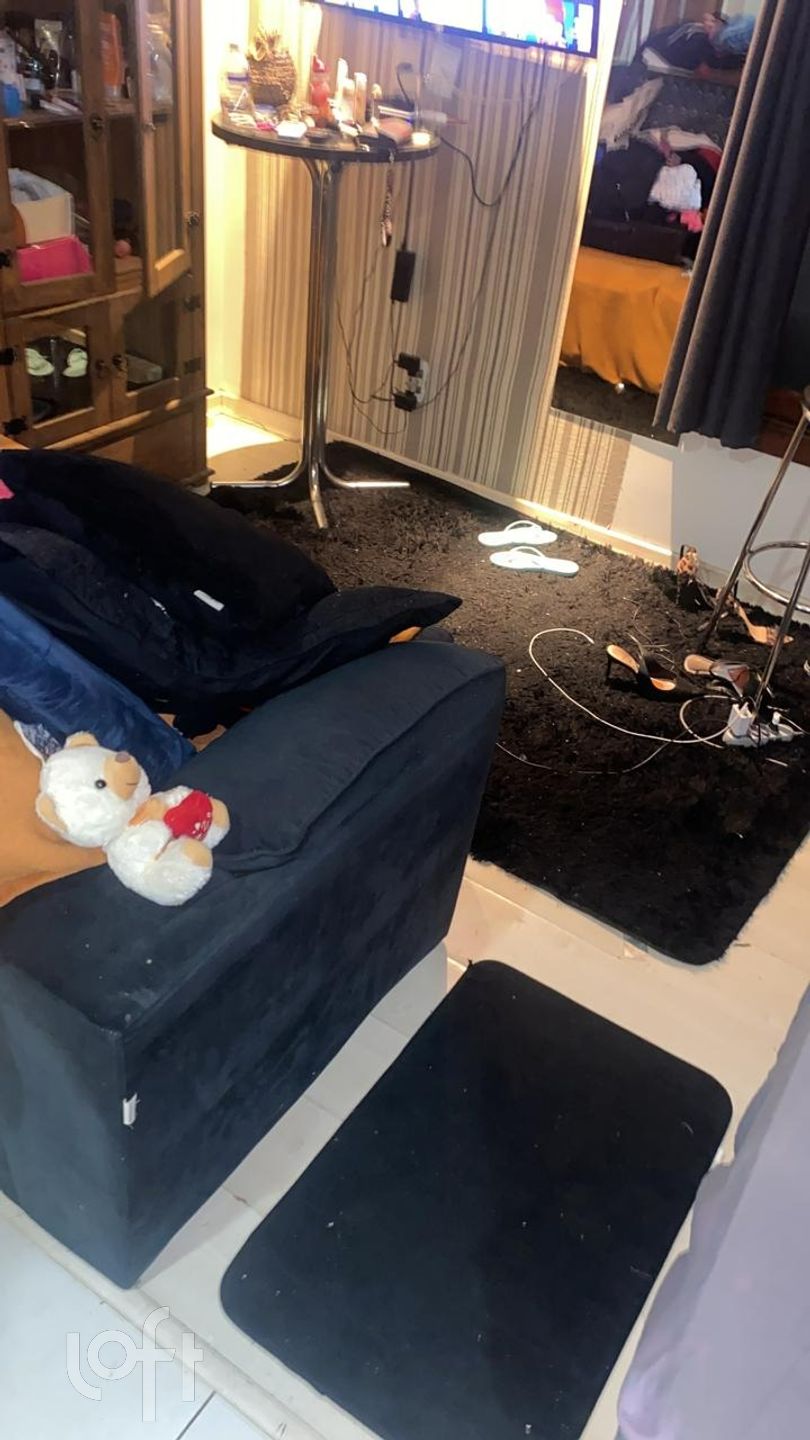 Imagem da propriedade 5