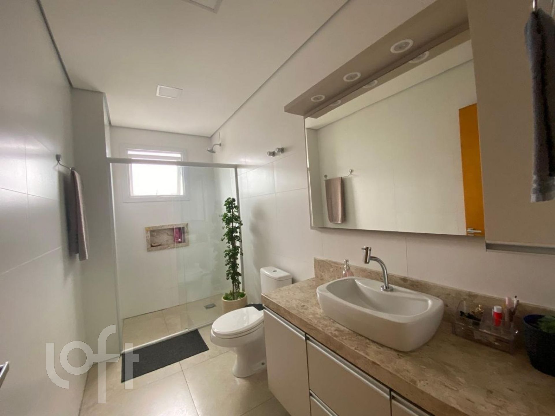 Imagem da propriedade 10