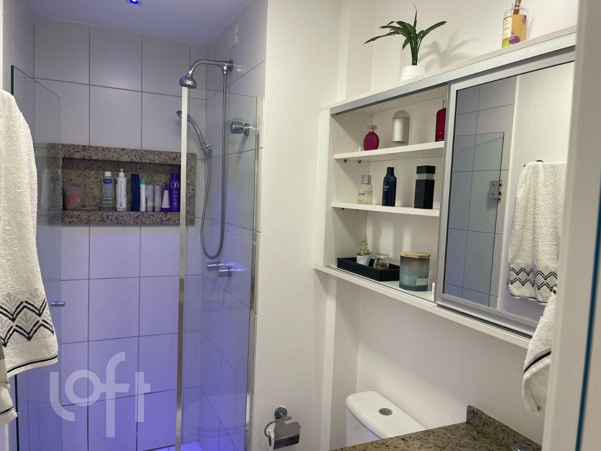 Imagem da propriedade 17