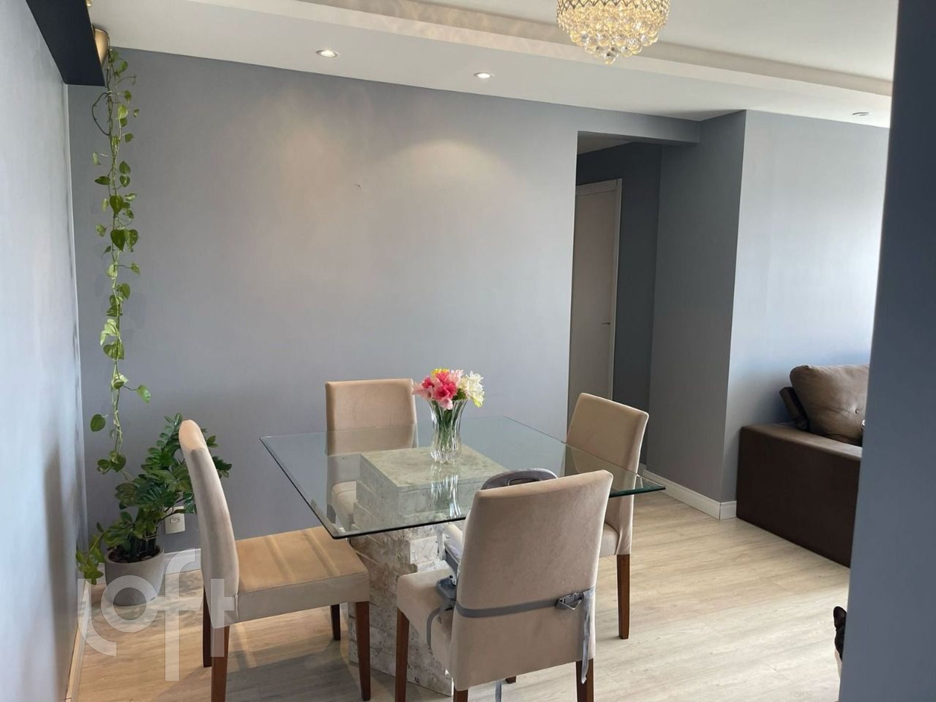 Imagem da propriedade 3