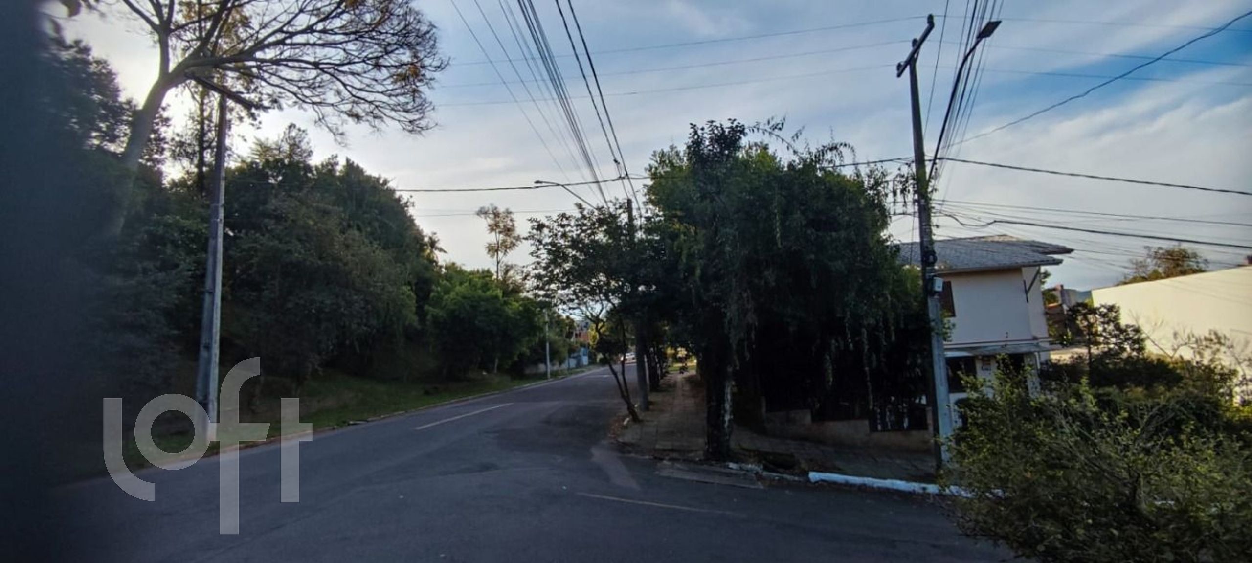 Imagem da propriedade 13