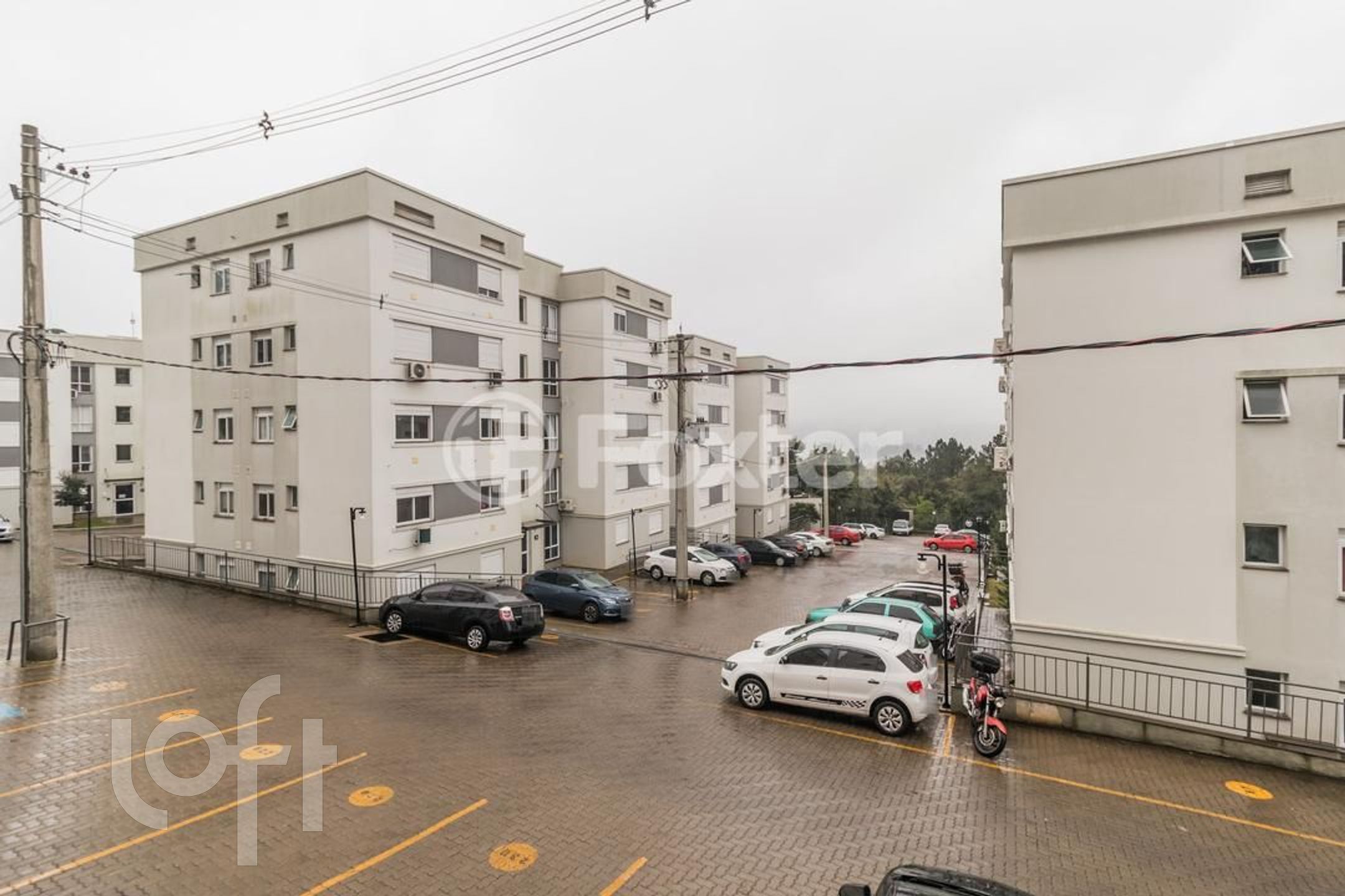 Imagem da propriedade 18