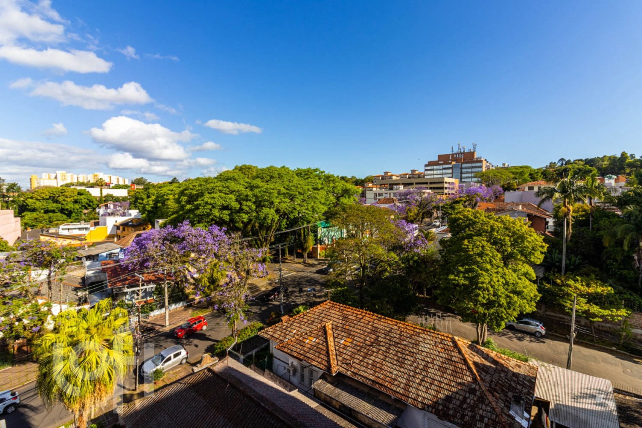 Imagem da propriedade 23