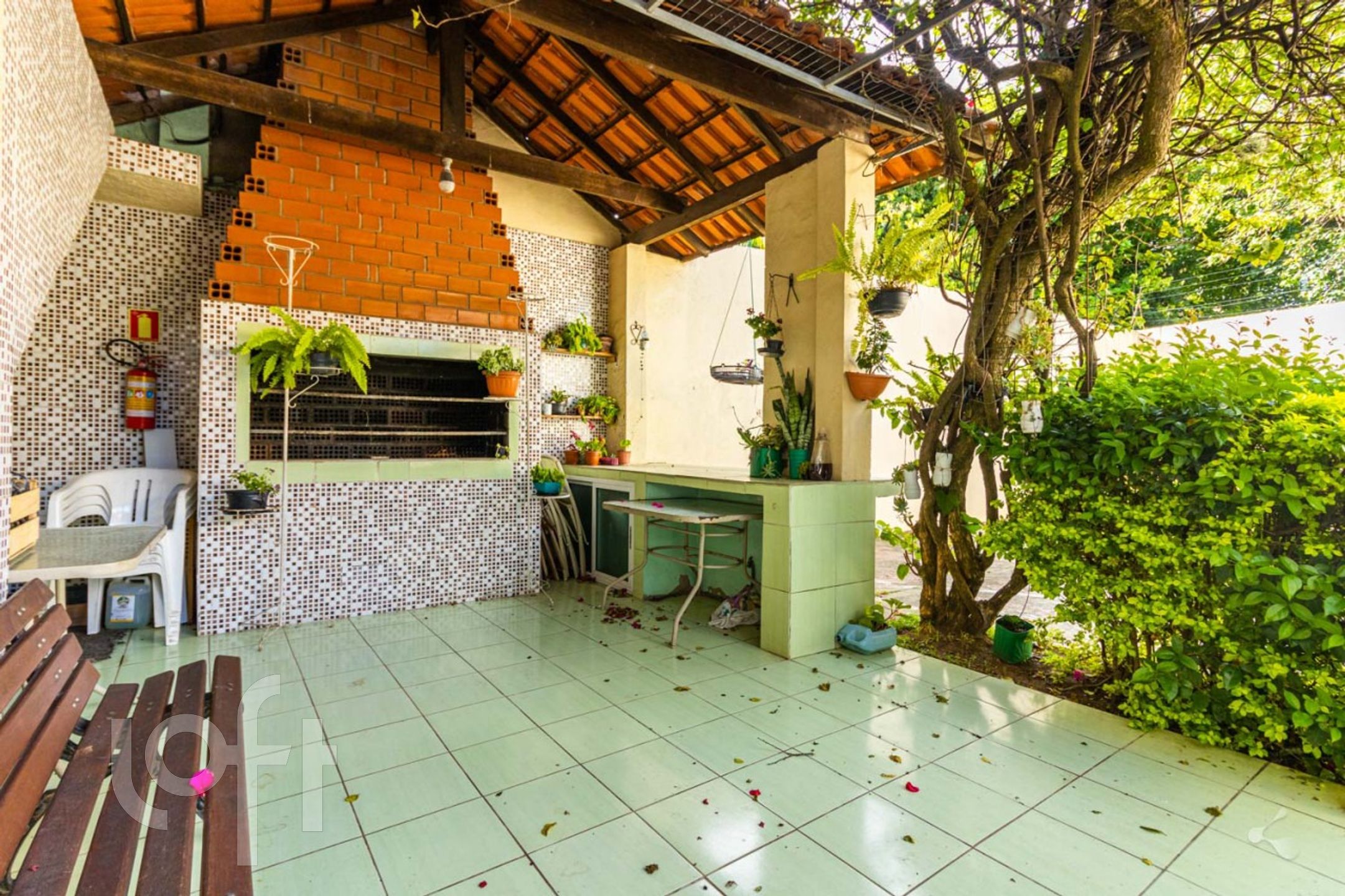 Imagem da propriedade 26