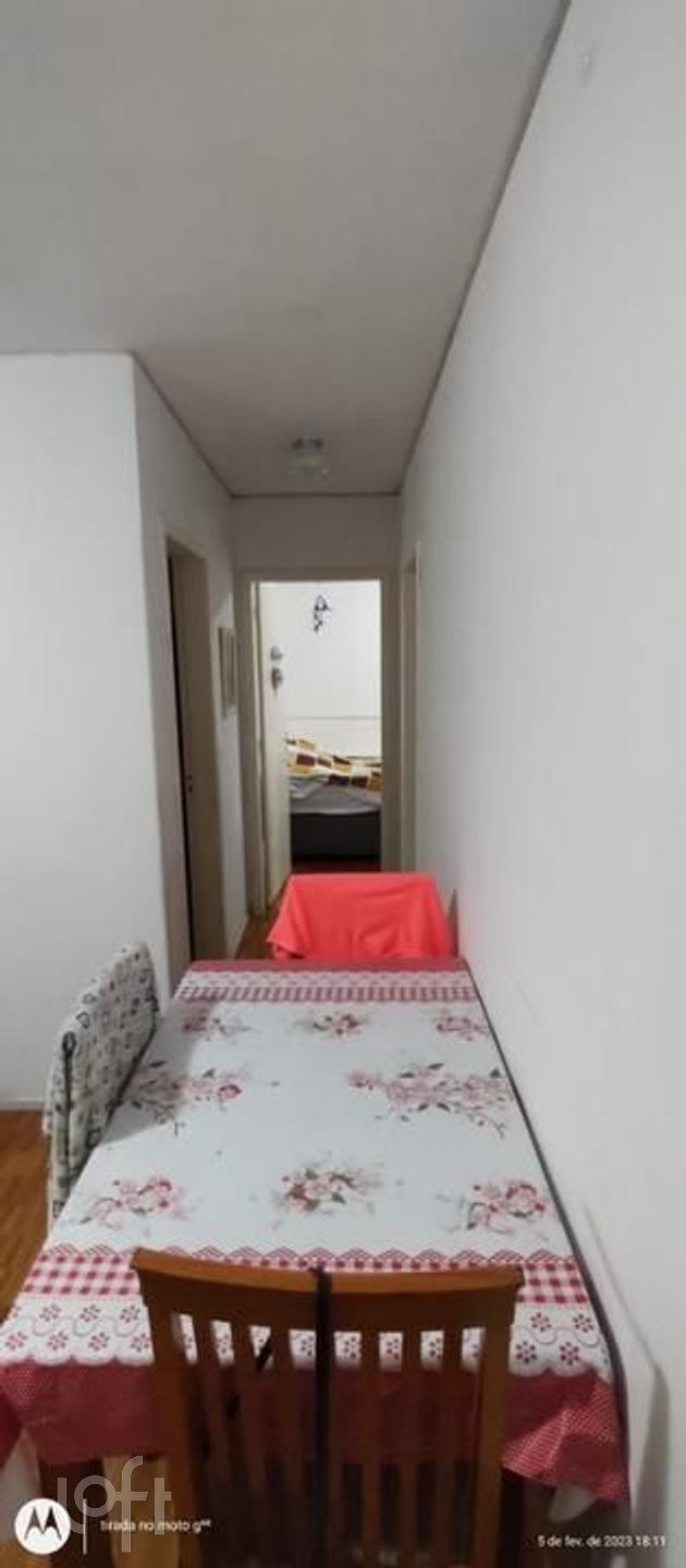 Imagem da propriedade 8