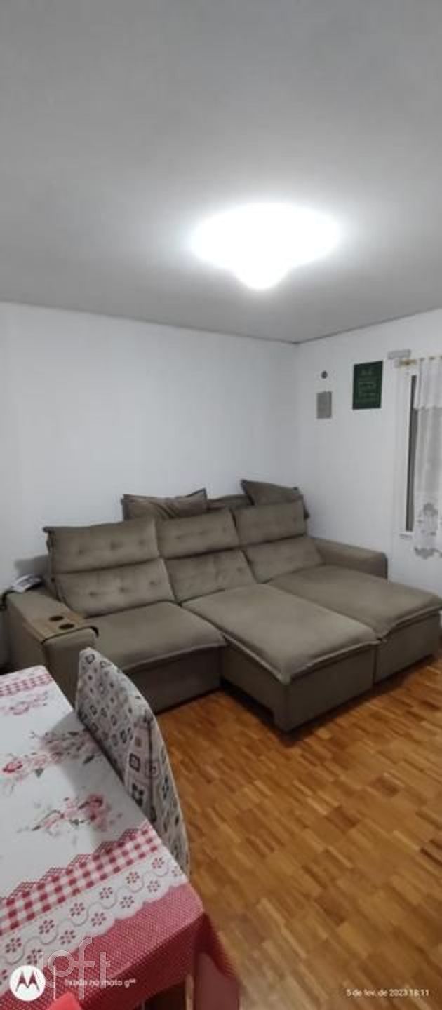 Imagem da propriedade 4