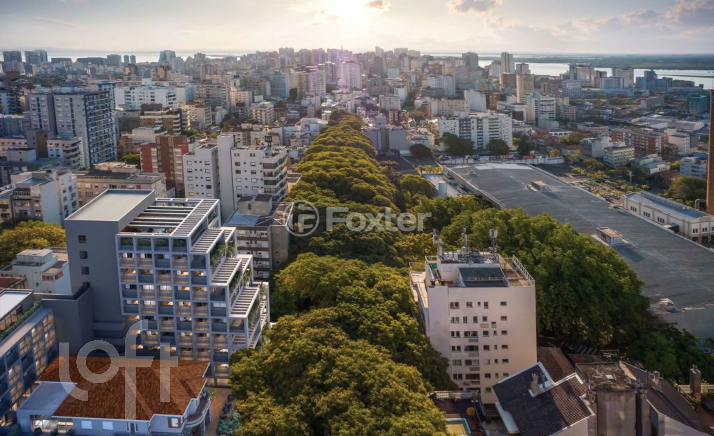 Imagem da propriedade 4