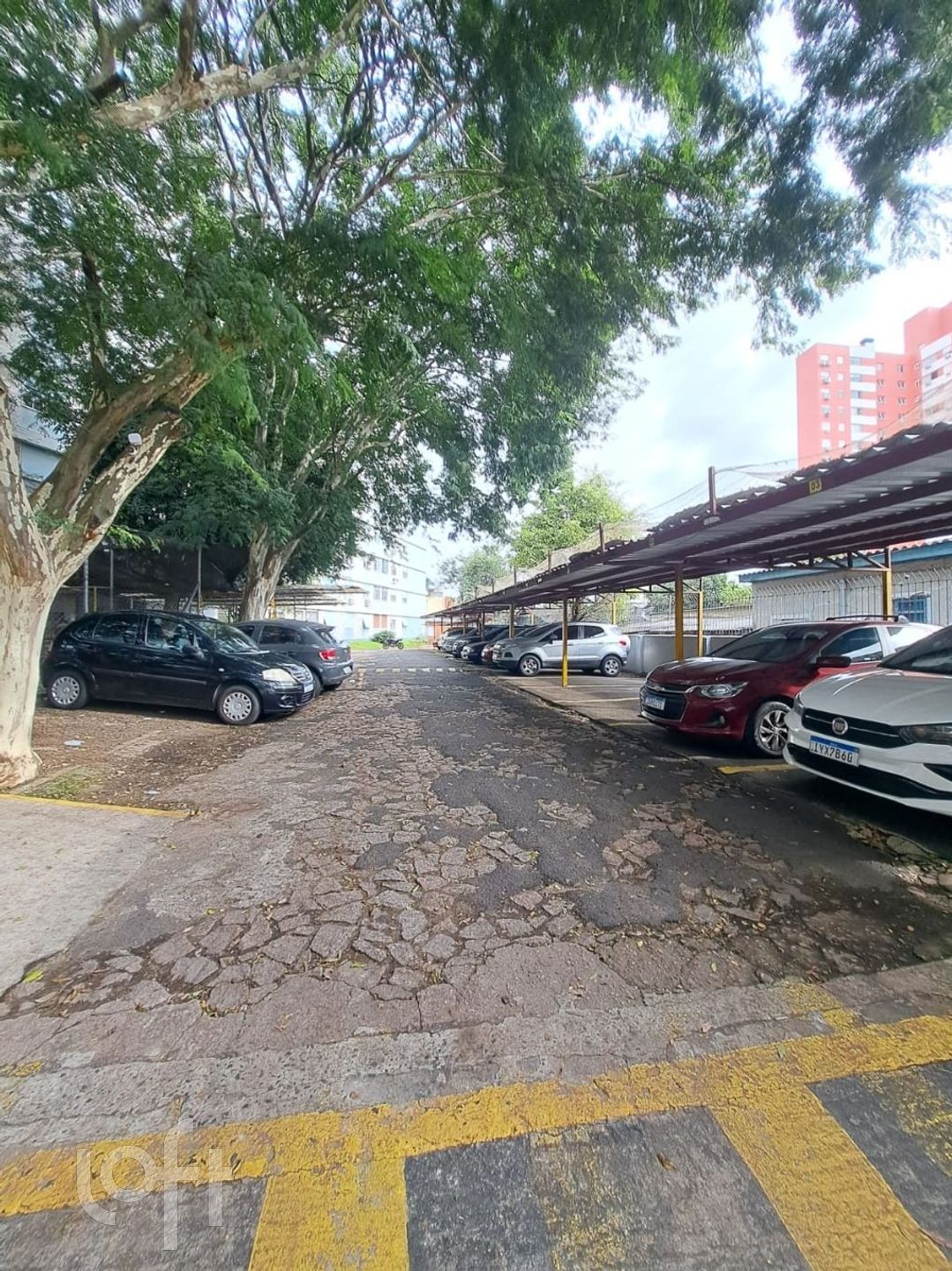 Imagem da propriedade 17