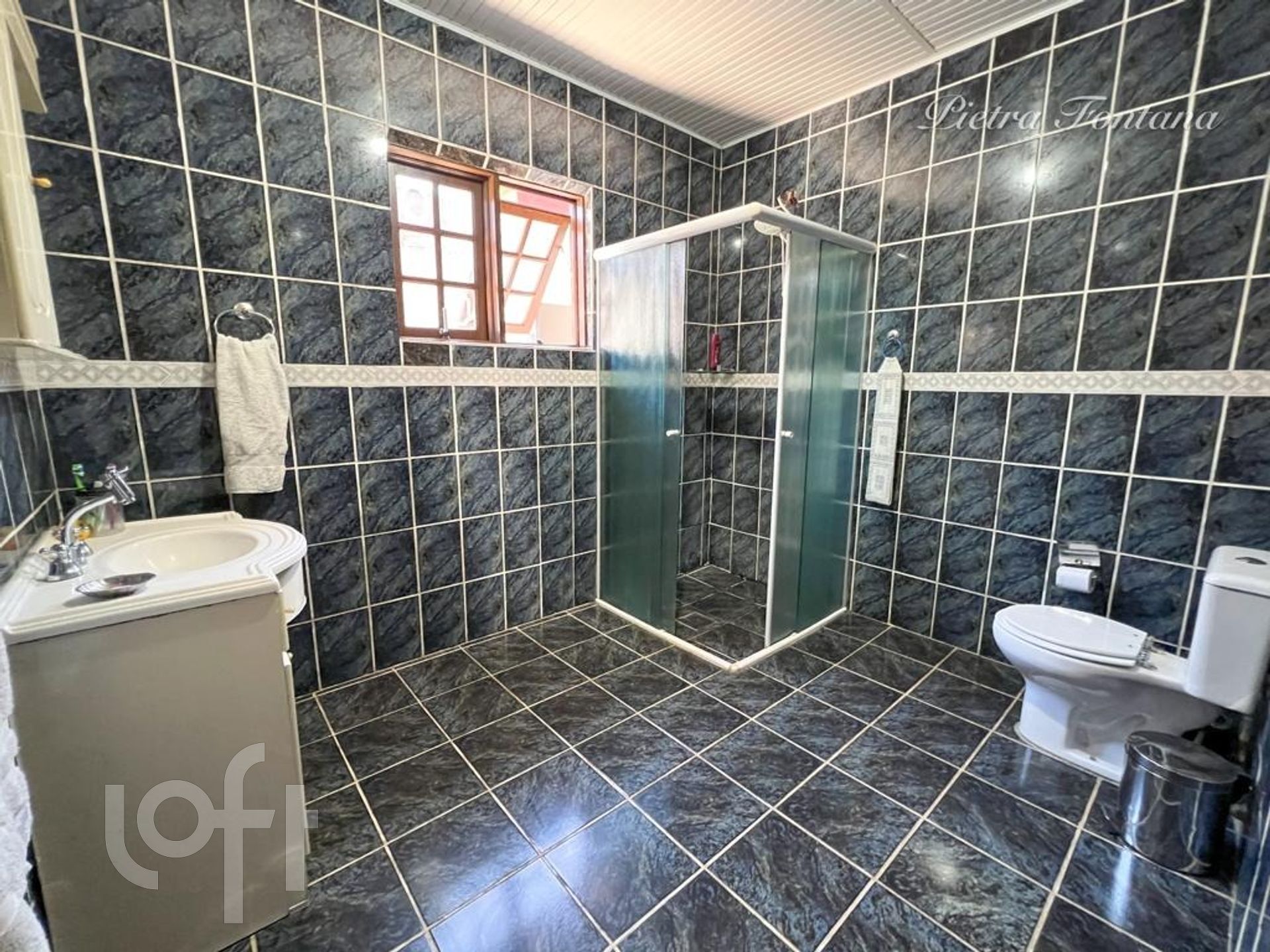 Imagem da propriedade 6