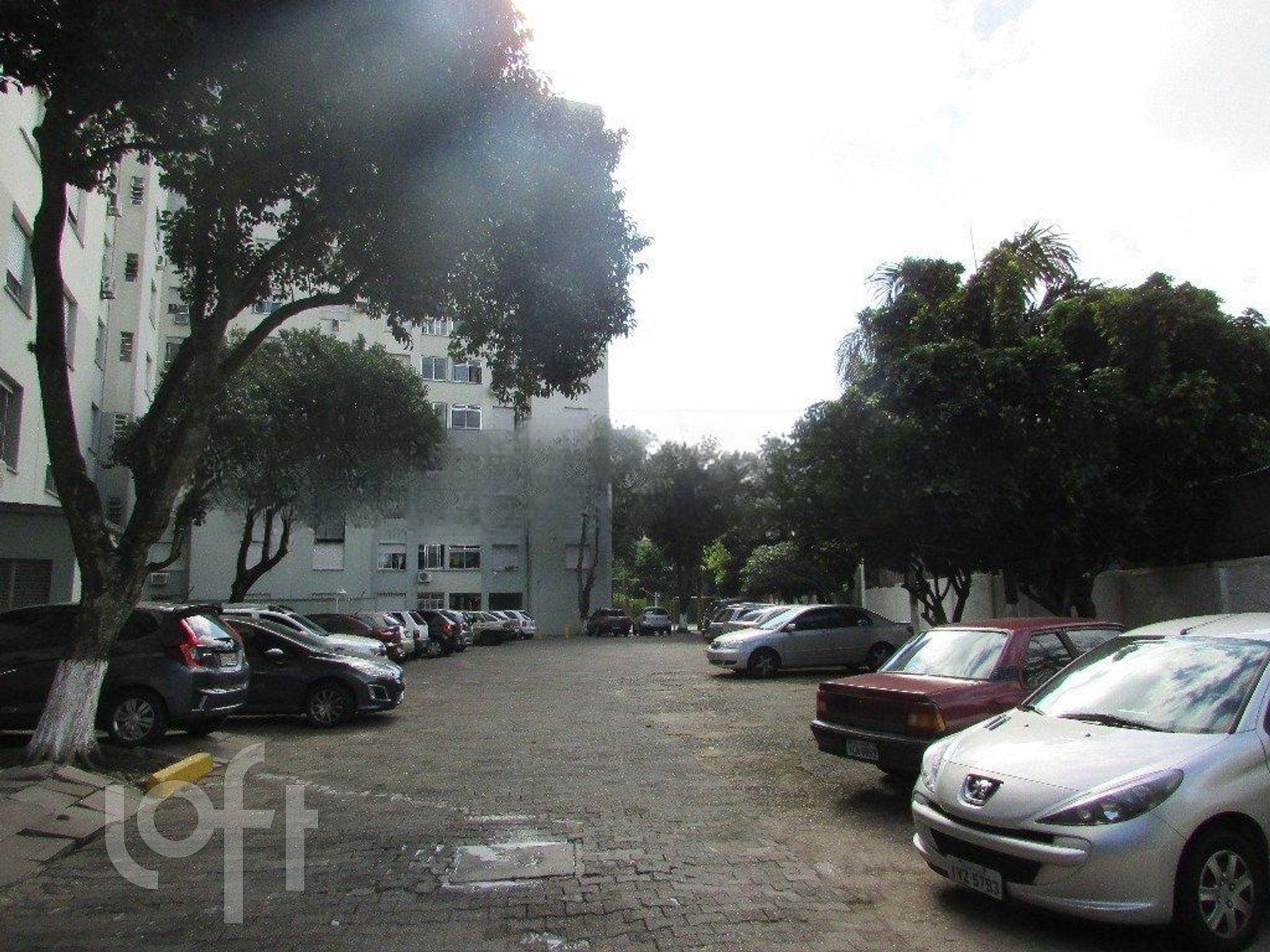 Imagem da propriedade 21