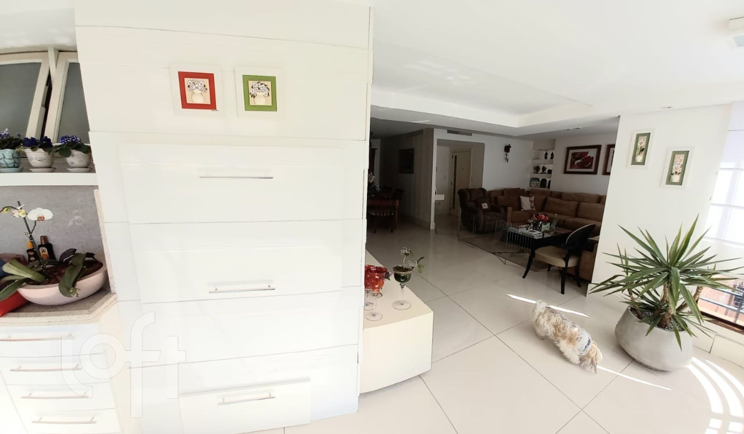 Imagem da propriedade 13