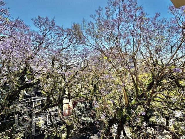 Apartamento com 73m², 2 dormitórios, Independência em Porto Alegre