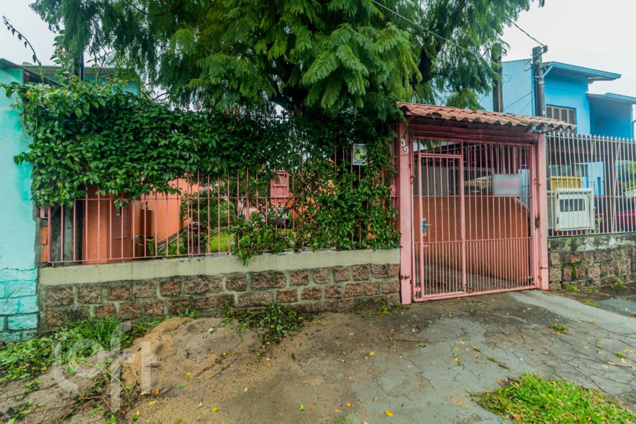 Imagem da propriedade 36