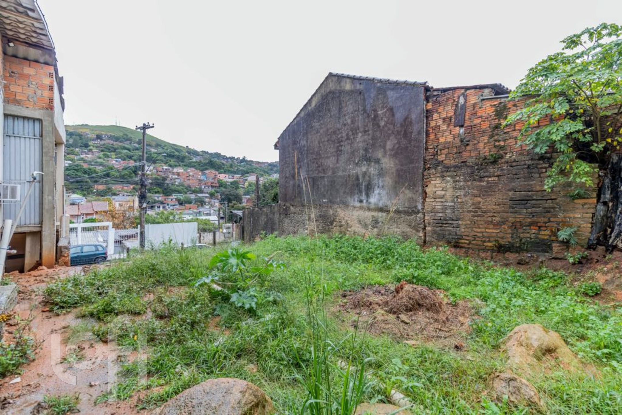 Imagem da propriedade 42