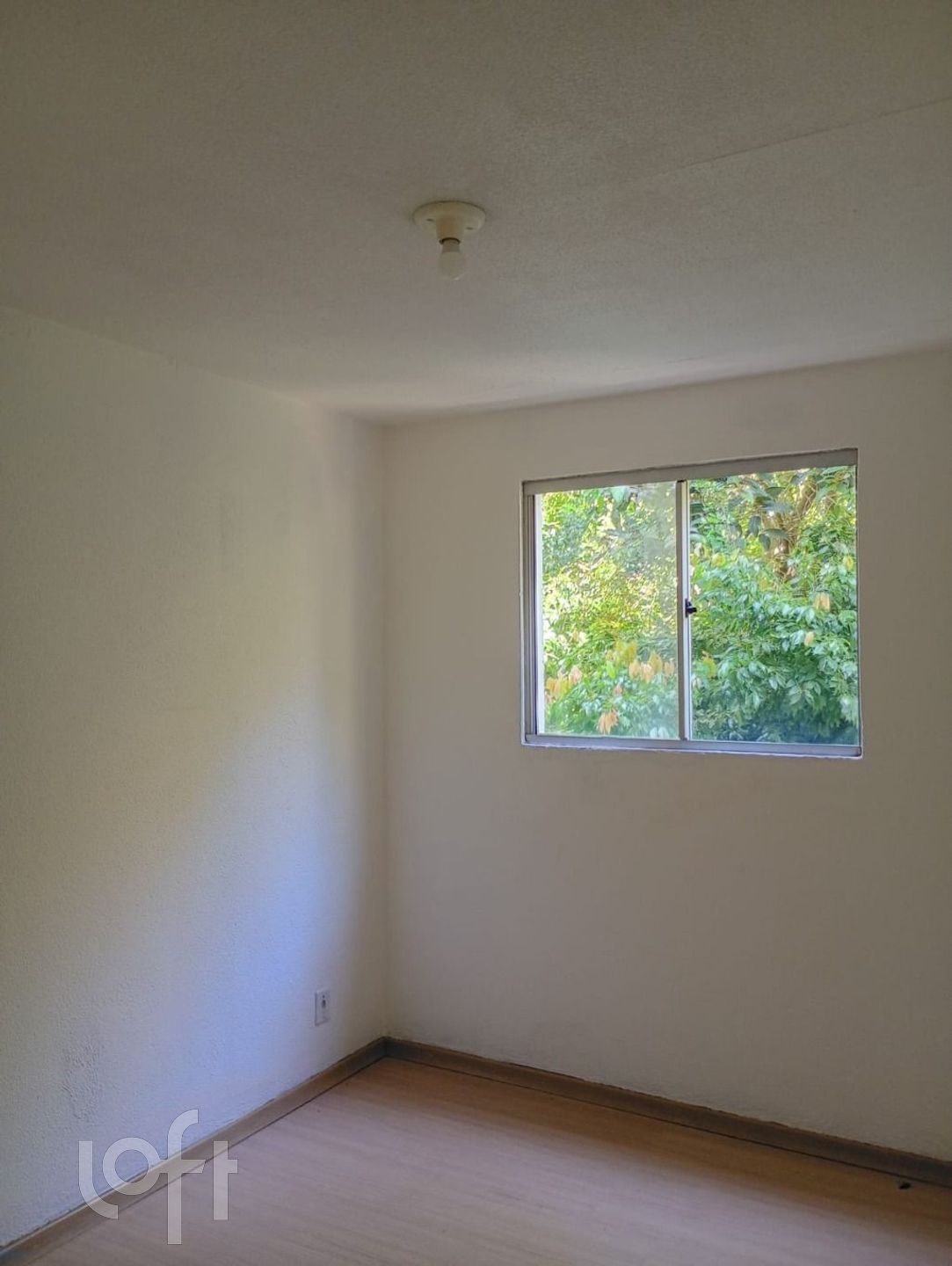 Imagem da propriedade 32