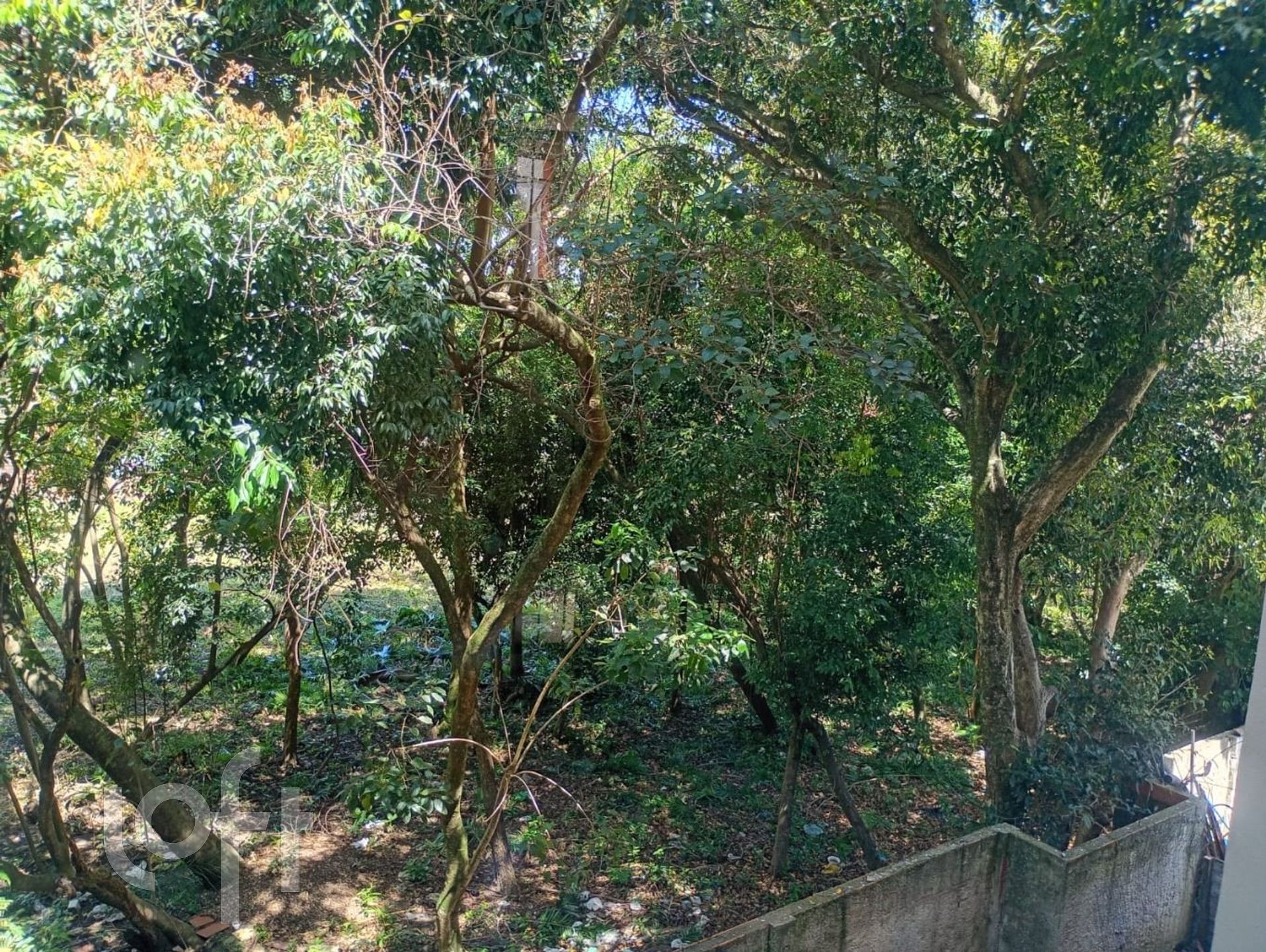 Imagem da propriedade 13