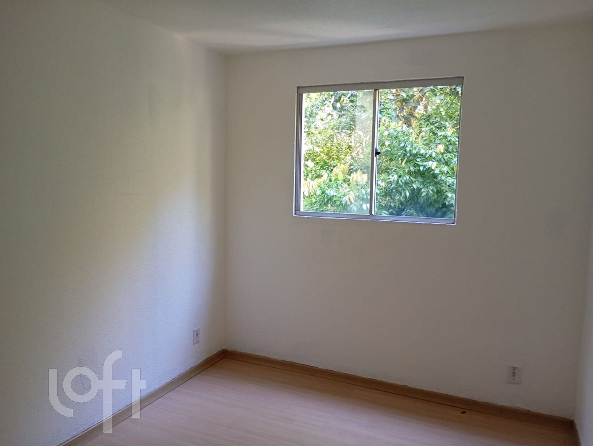 Imagem da propriedade 19