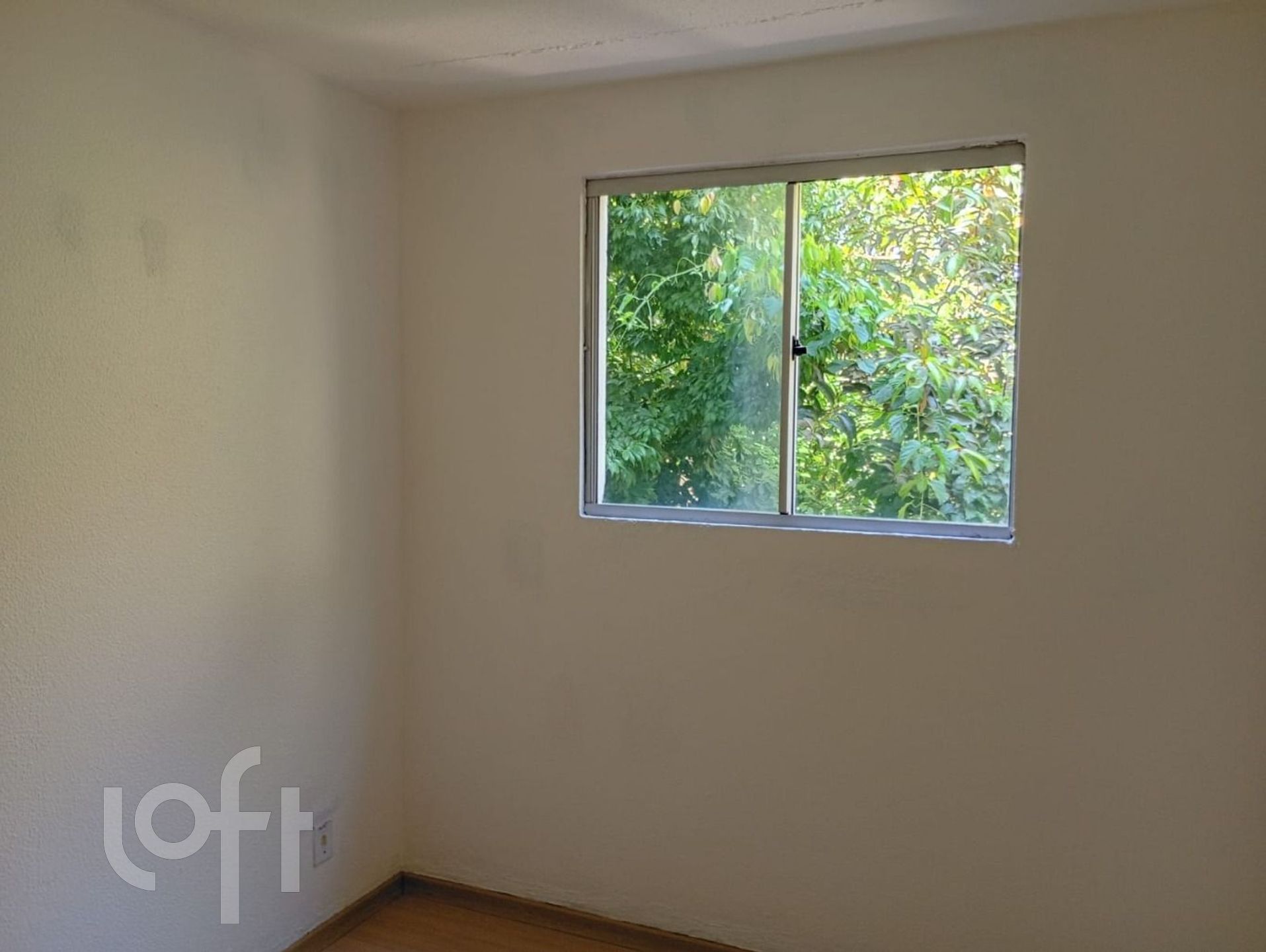 Imagem da propriedade 12