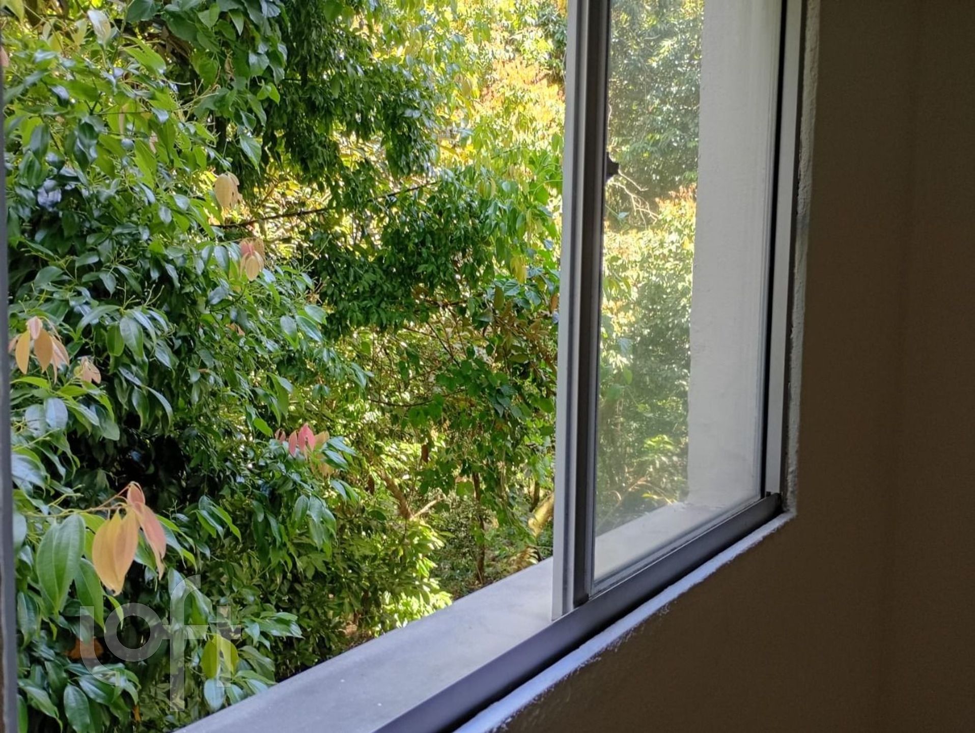 Imagem da propriedade 24