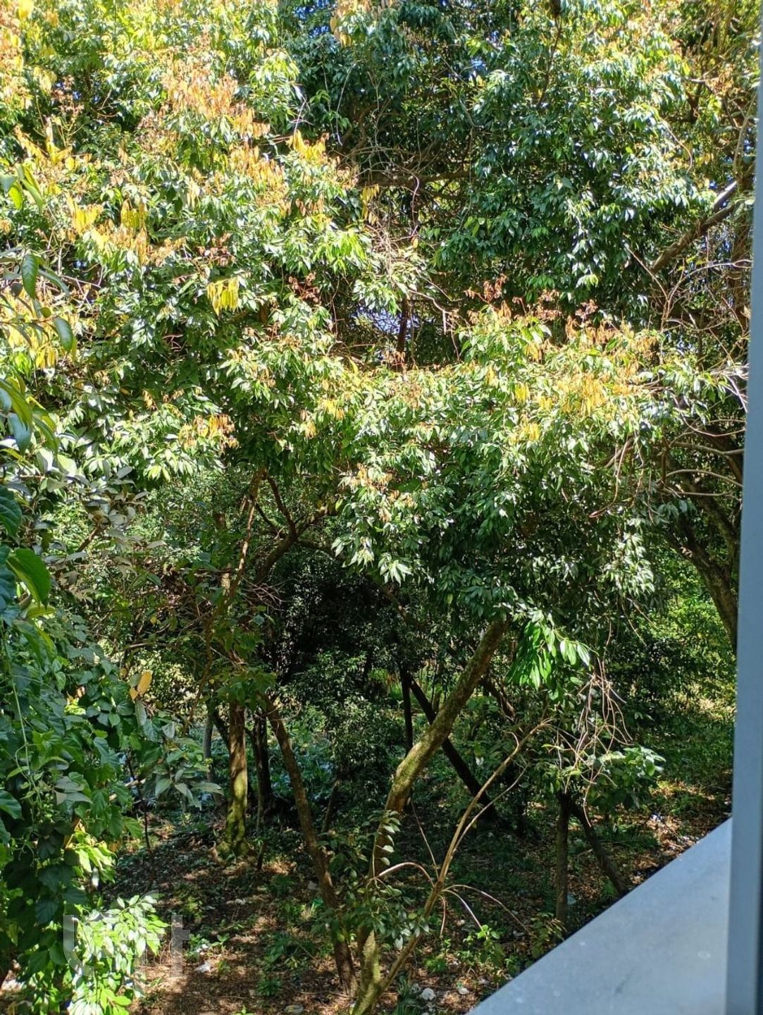 Imagem da propriedade 22