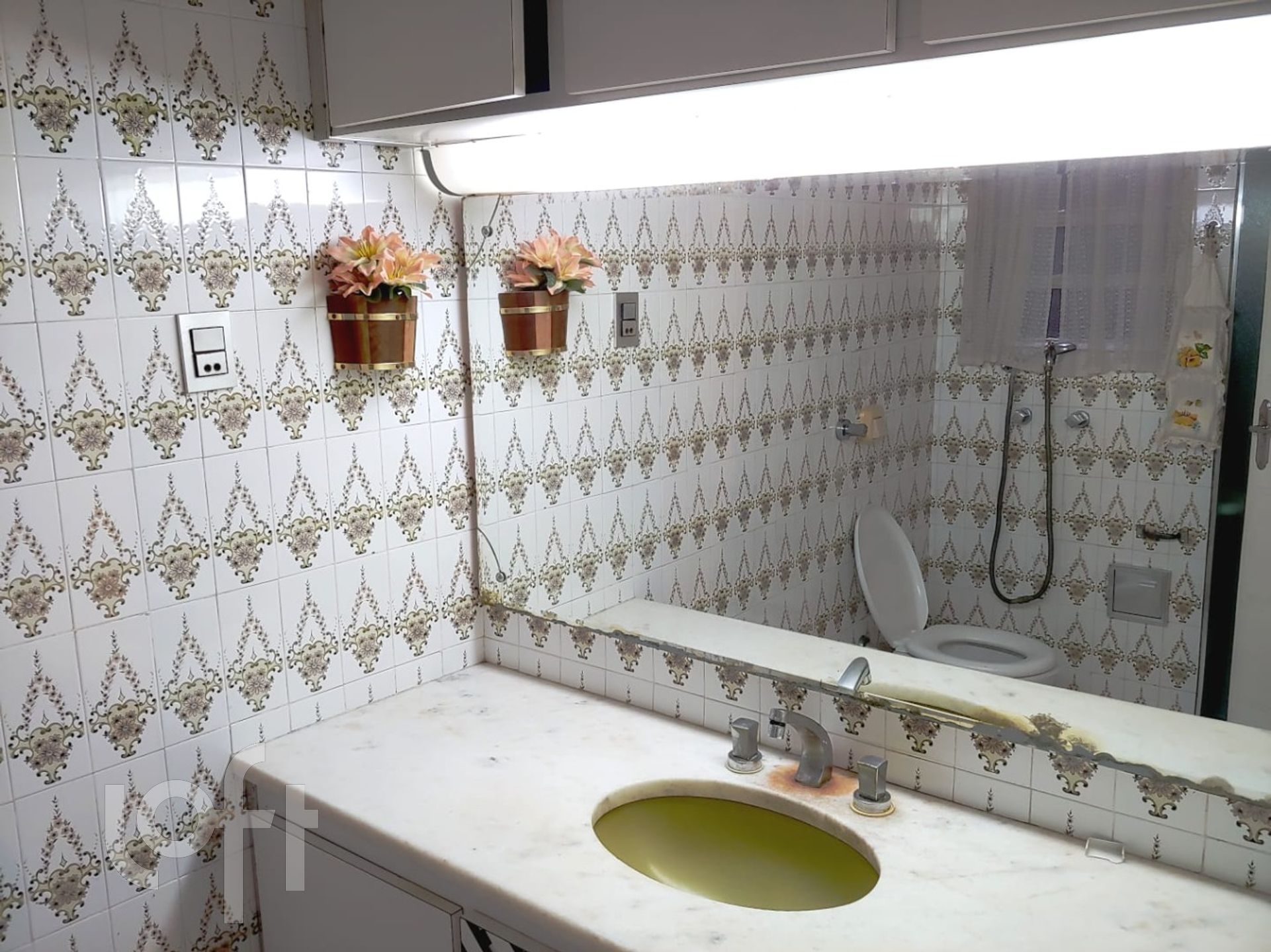 Imagem da propriedade 10